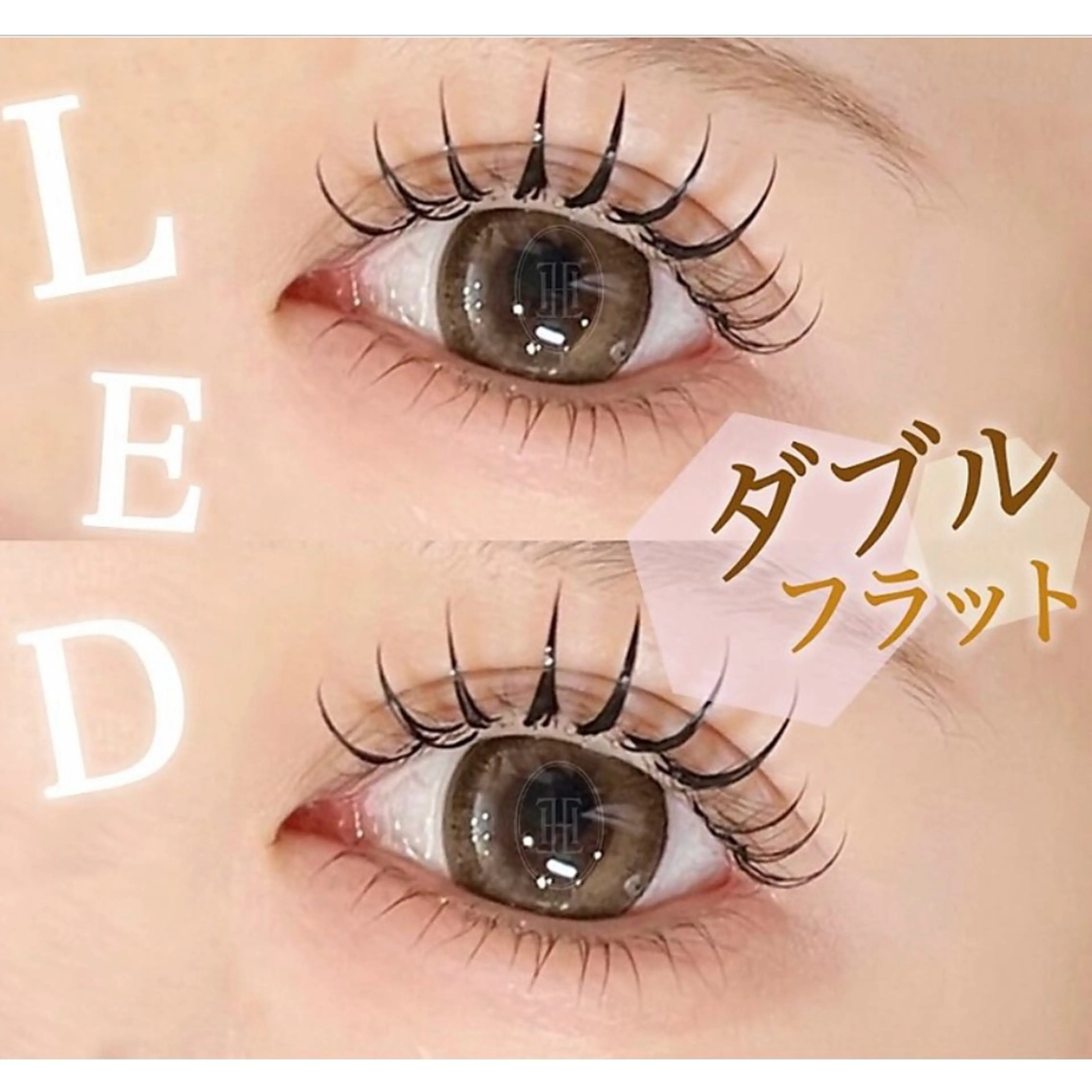 迷ったらコレ⭐️束感✖️長持ち【ハリウッドLEDマツエク】ダブルフラット100本 （50束）⭐️の写真