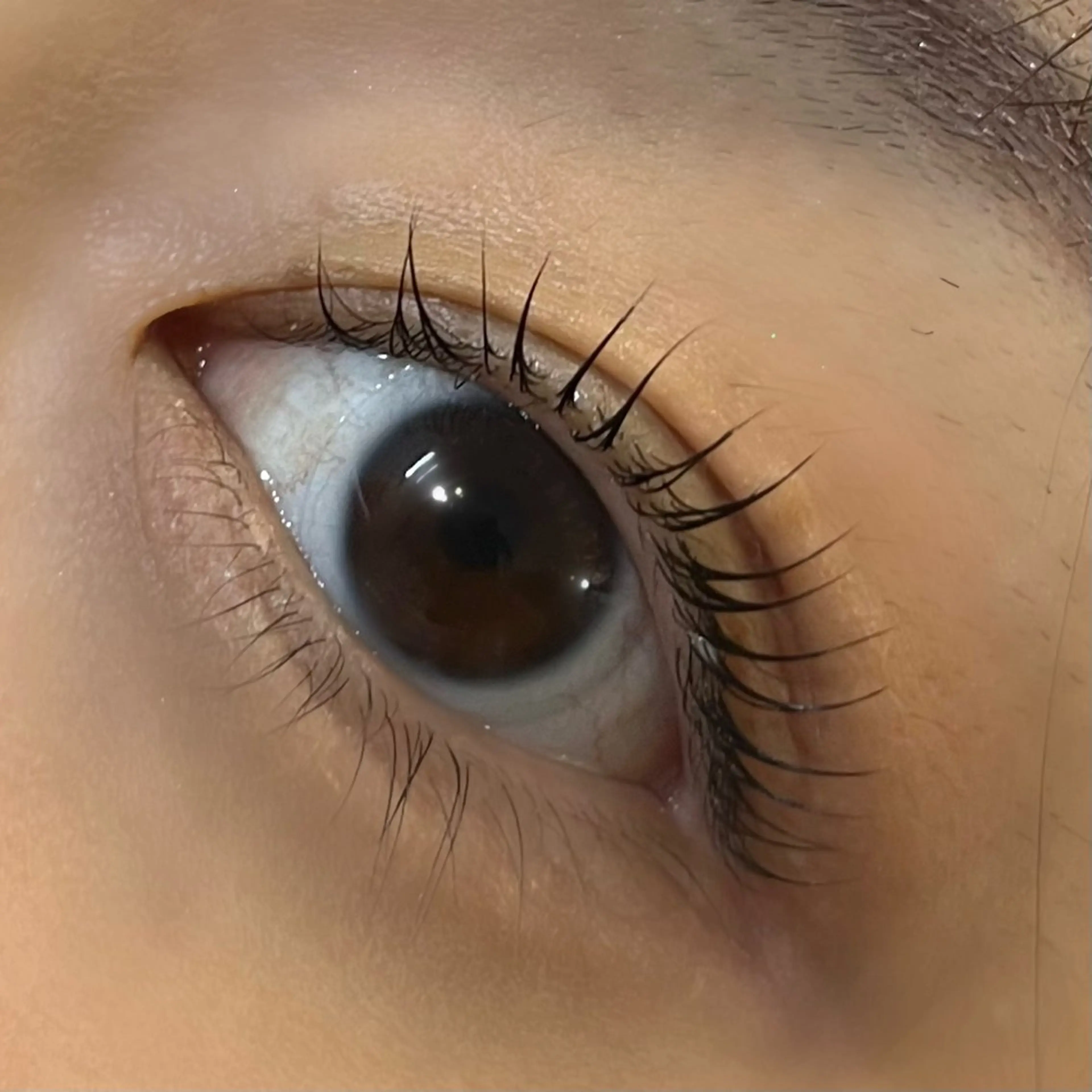 マツエク・マツパ MOE_ eyelashのマツエク・マツパデザイン