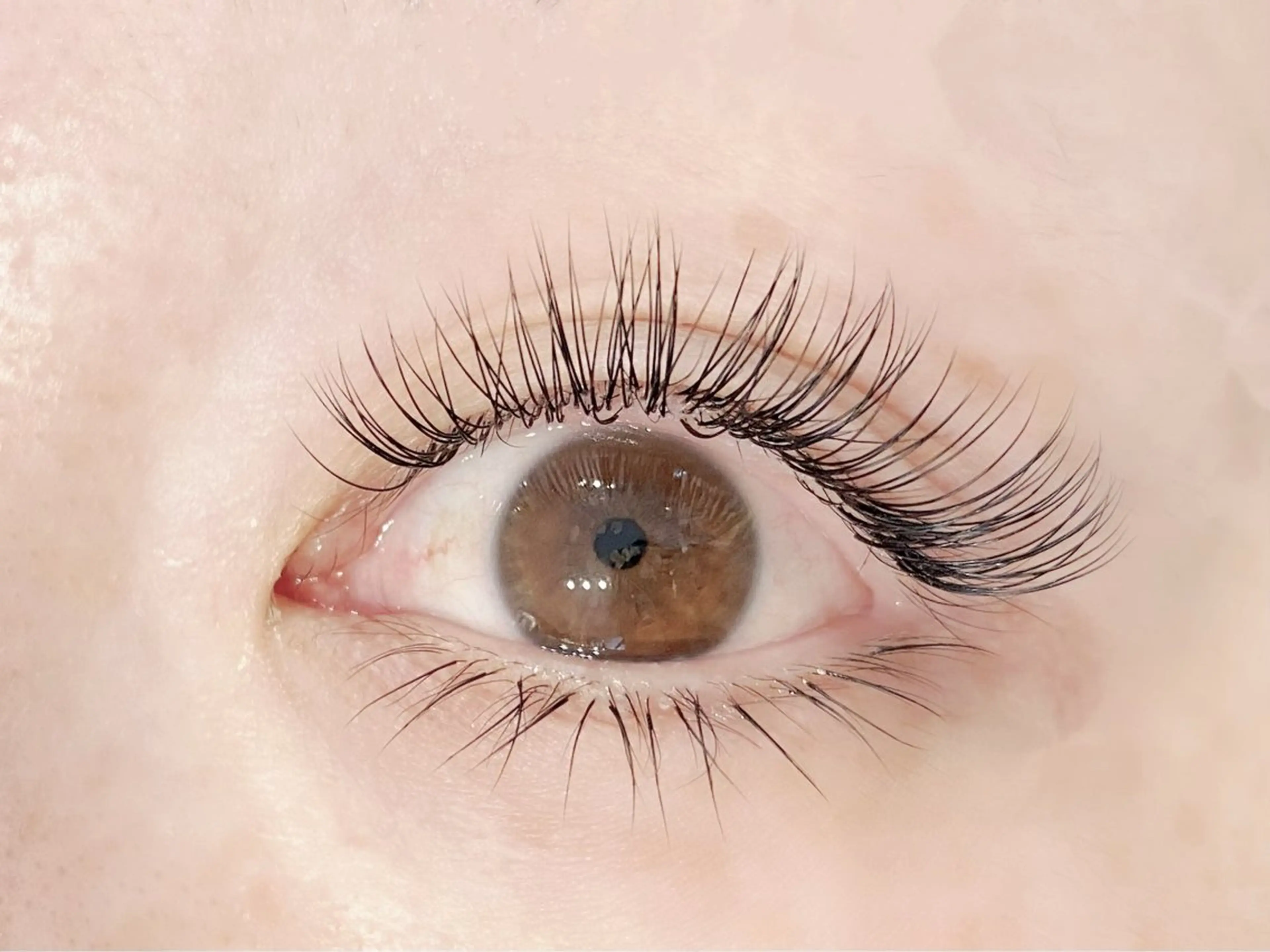 ▪️ フラットラッシュ～つけ放題（最低140本保証） ▪️の写真