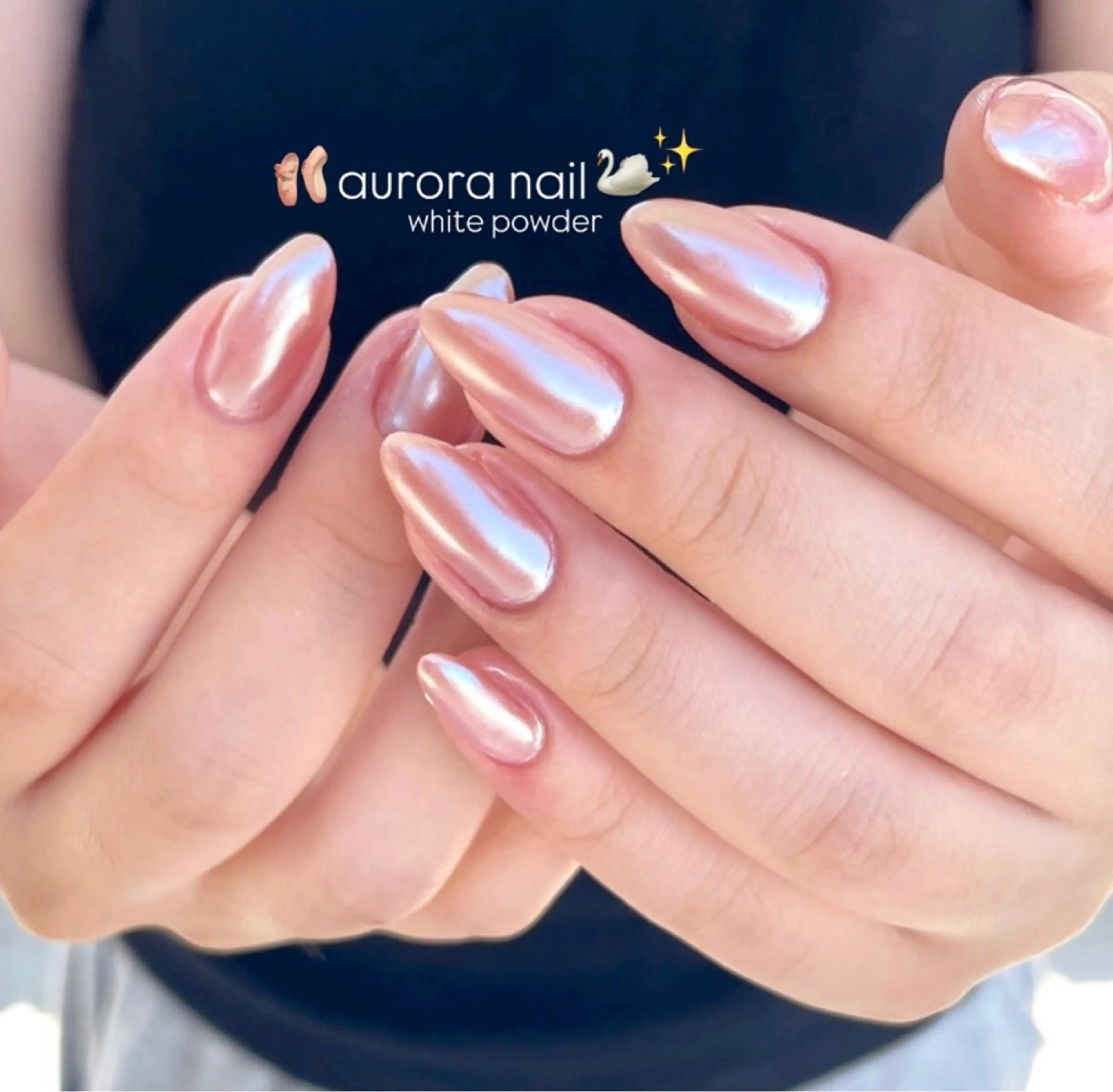 𝘭𝘢𝘮𝘦・𝘮𝘢𝘨𝘯𝘦𝘵の写真