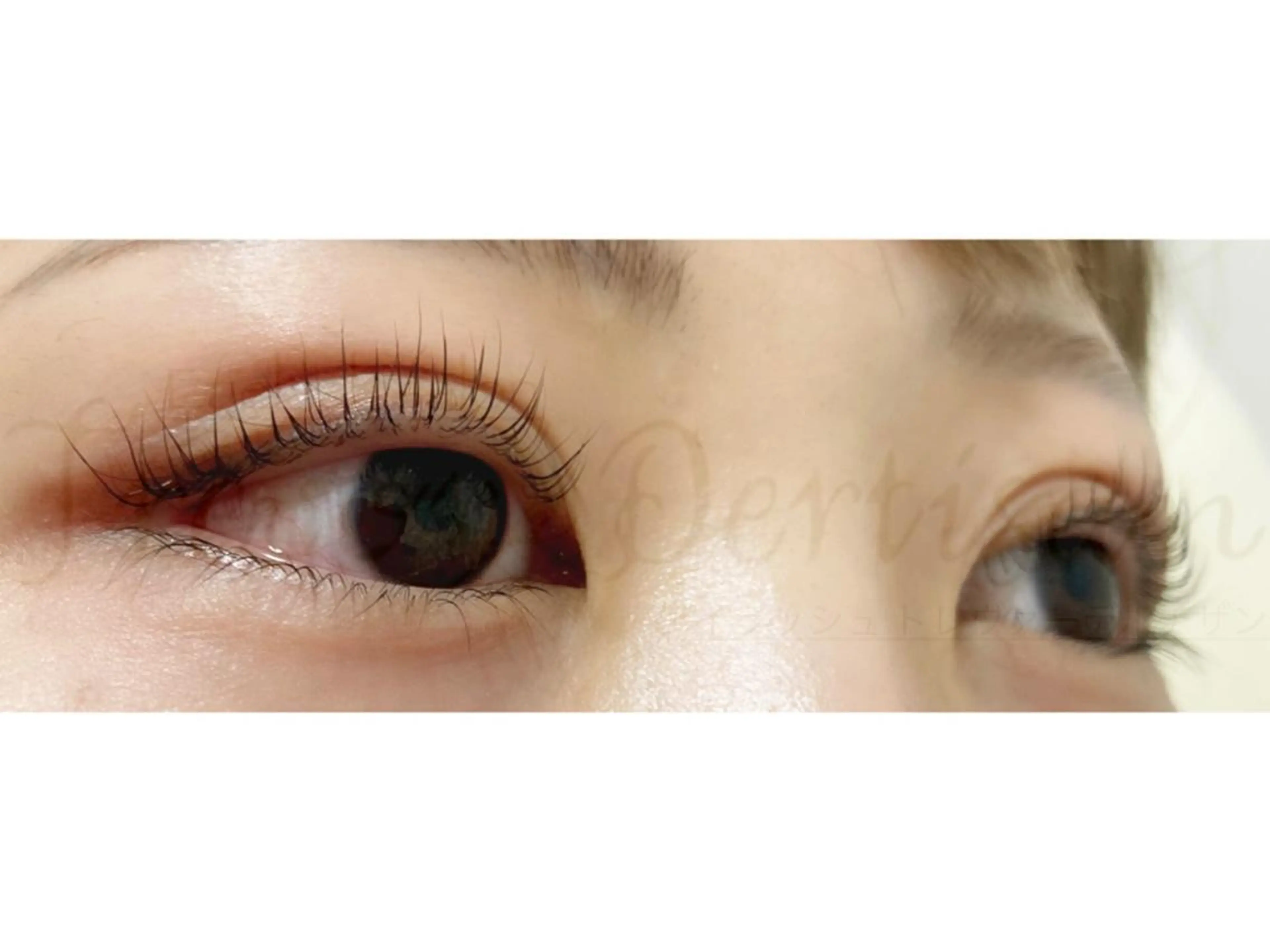 マツエク・マツパ マツパ トレヴァーデルチザン inuiのマツエク・マツパデザイン