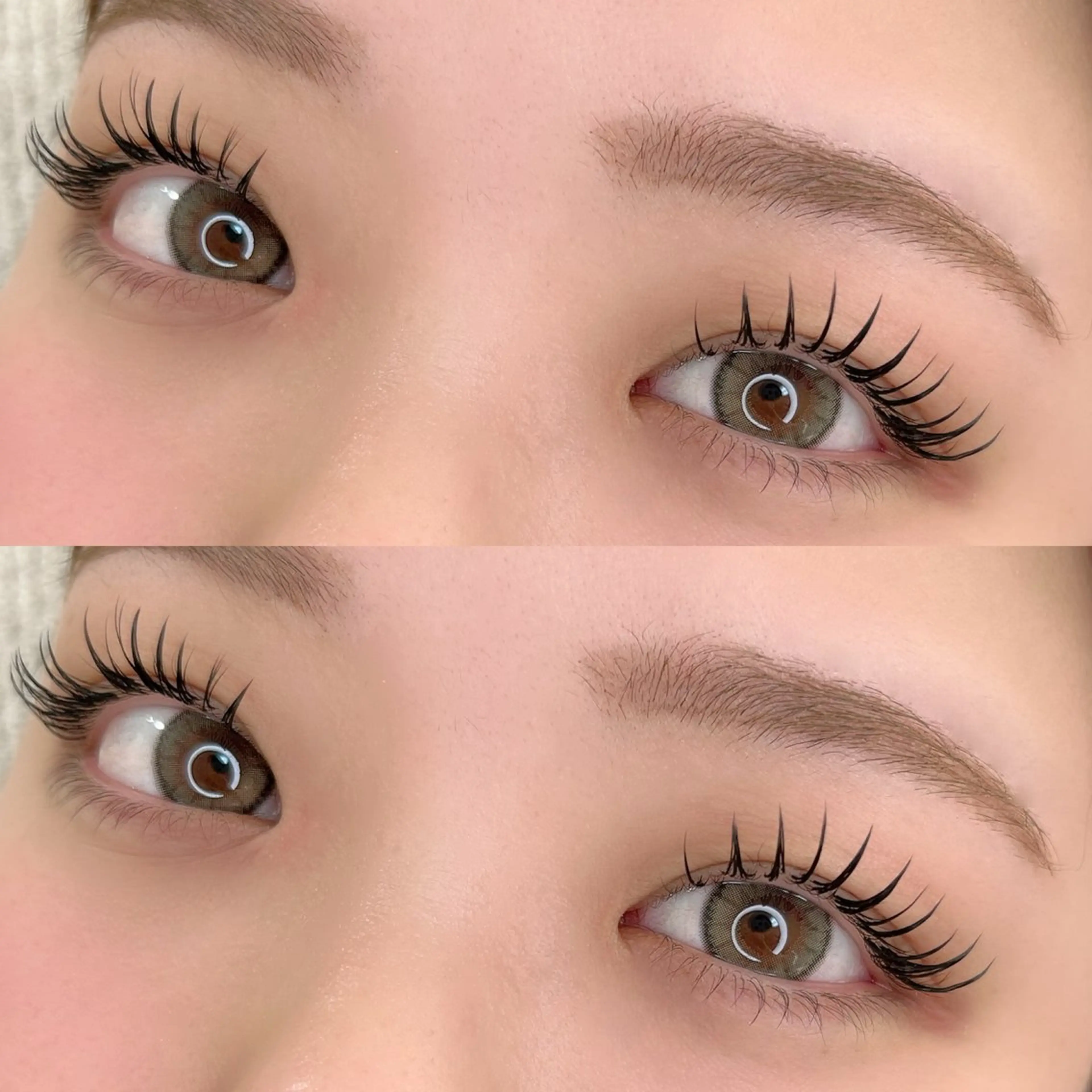 ダブルフラット120束(オフ込み)【持続力&ボリューム派に】の写真