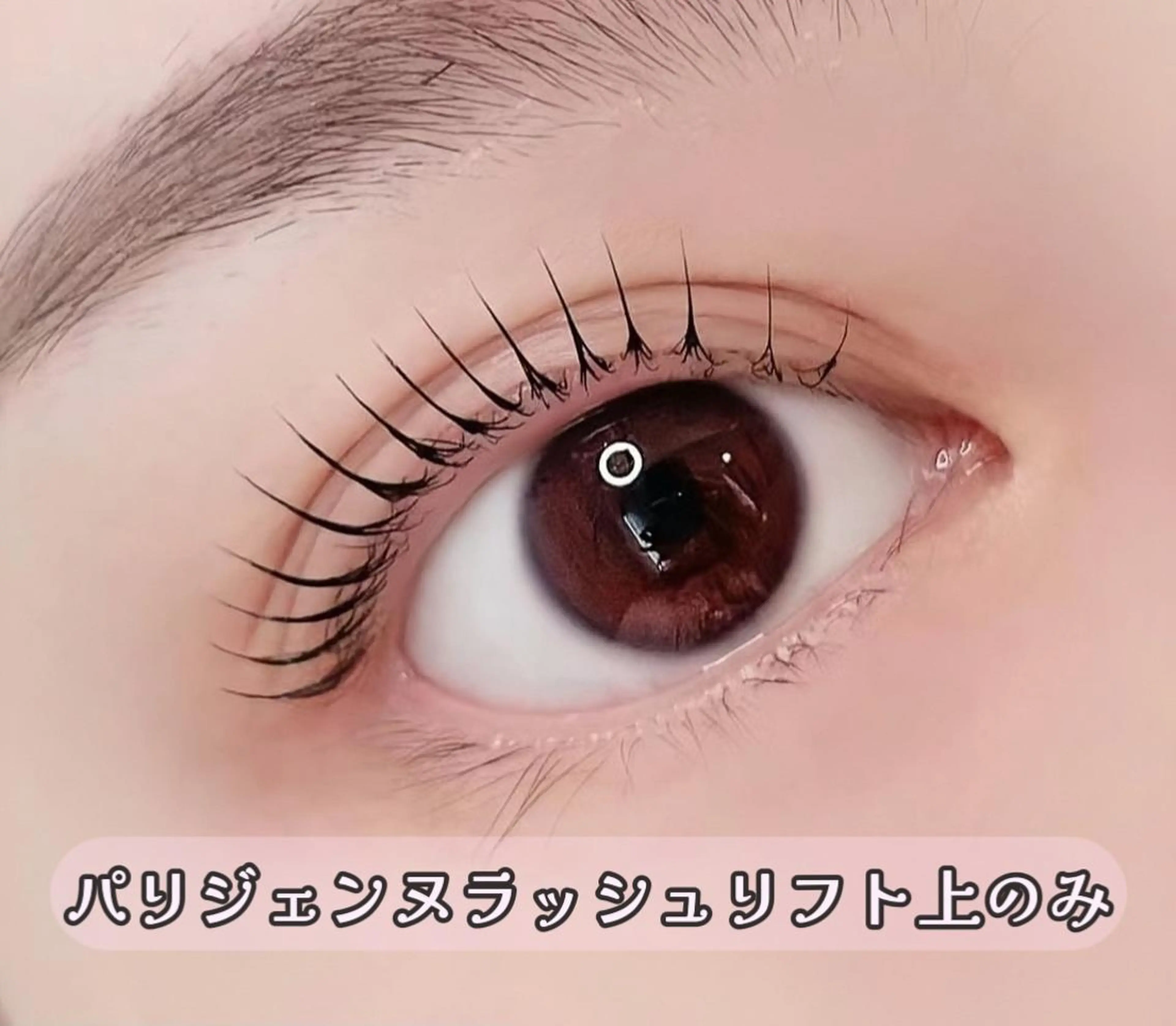 話題のパリジェンヌ✨パリジェンヌラッシュリフト上のみの写真