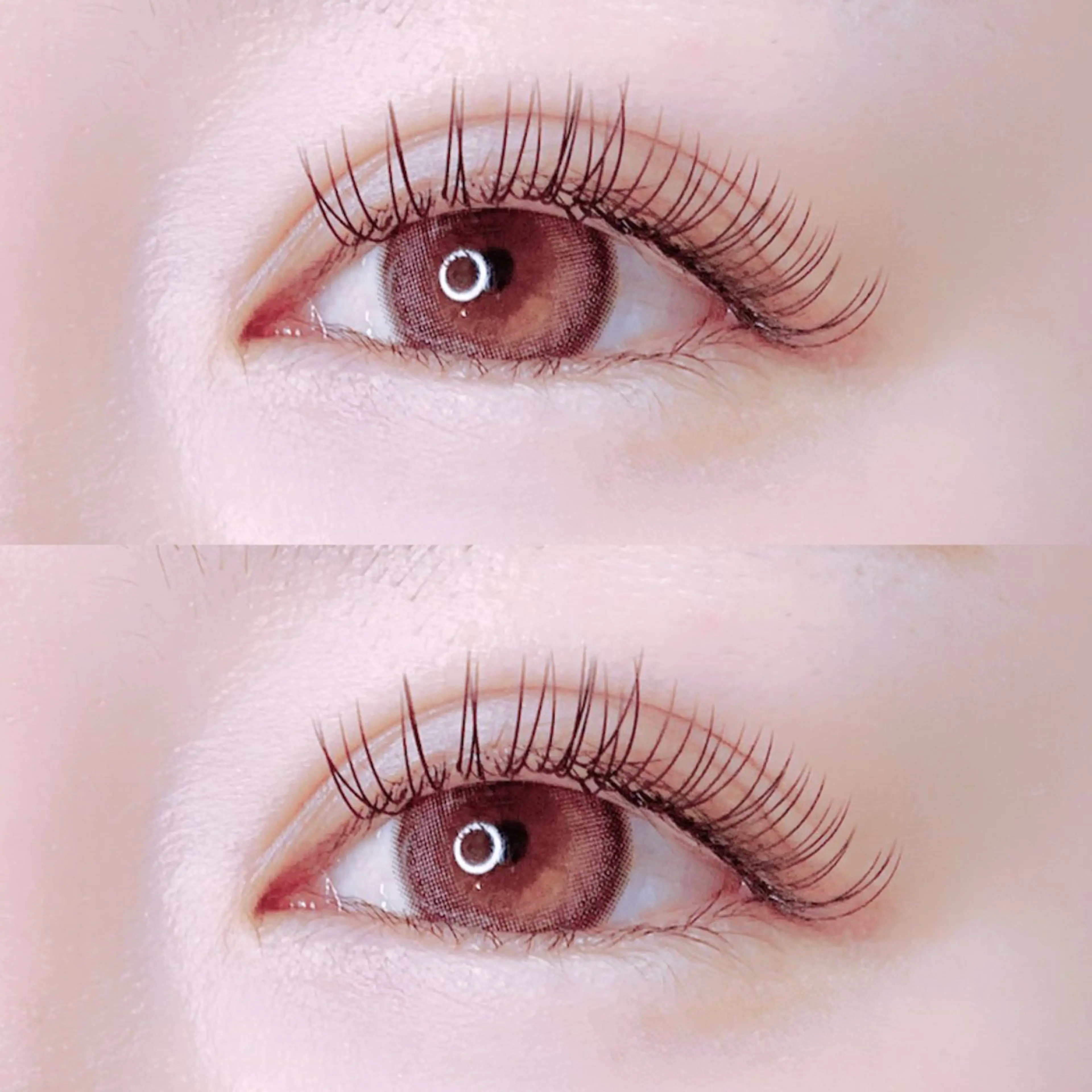 フラットラッシュ100本(ご新規様限定)の写真