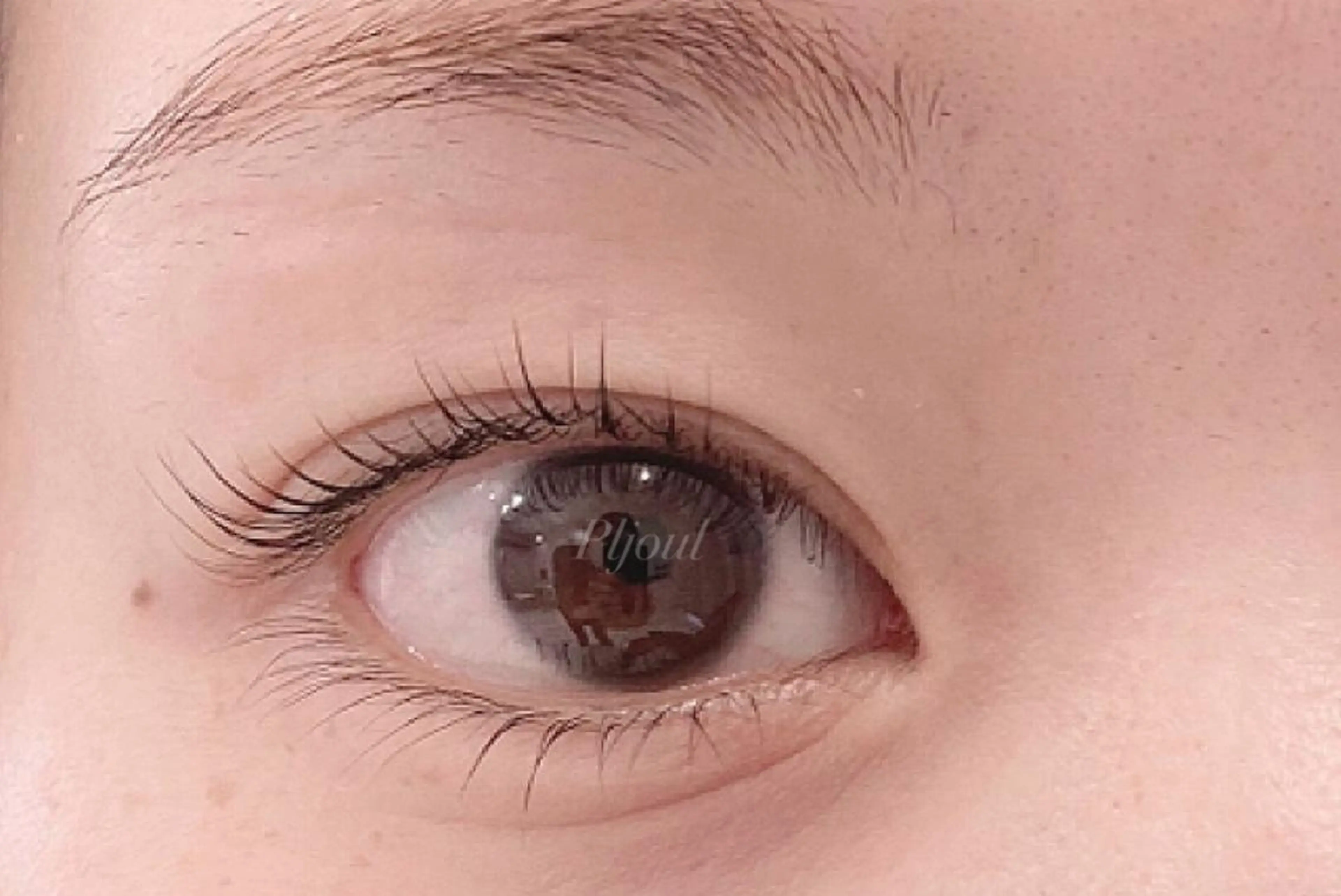 マツエク・マツパ マツパ Pljoul🤍 天満橋のマツエク・マツパデザイン