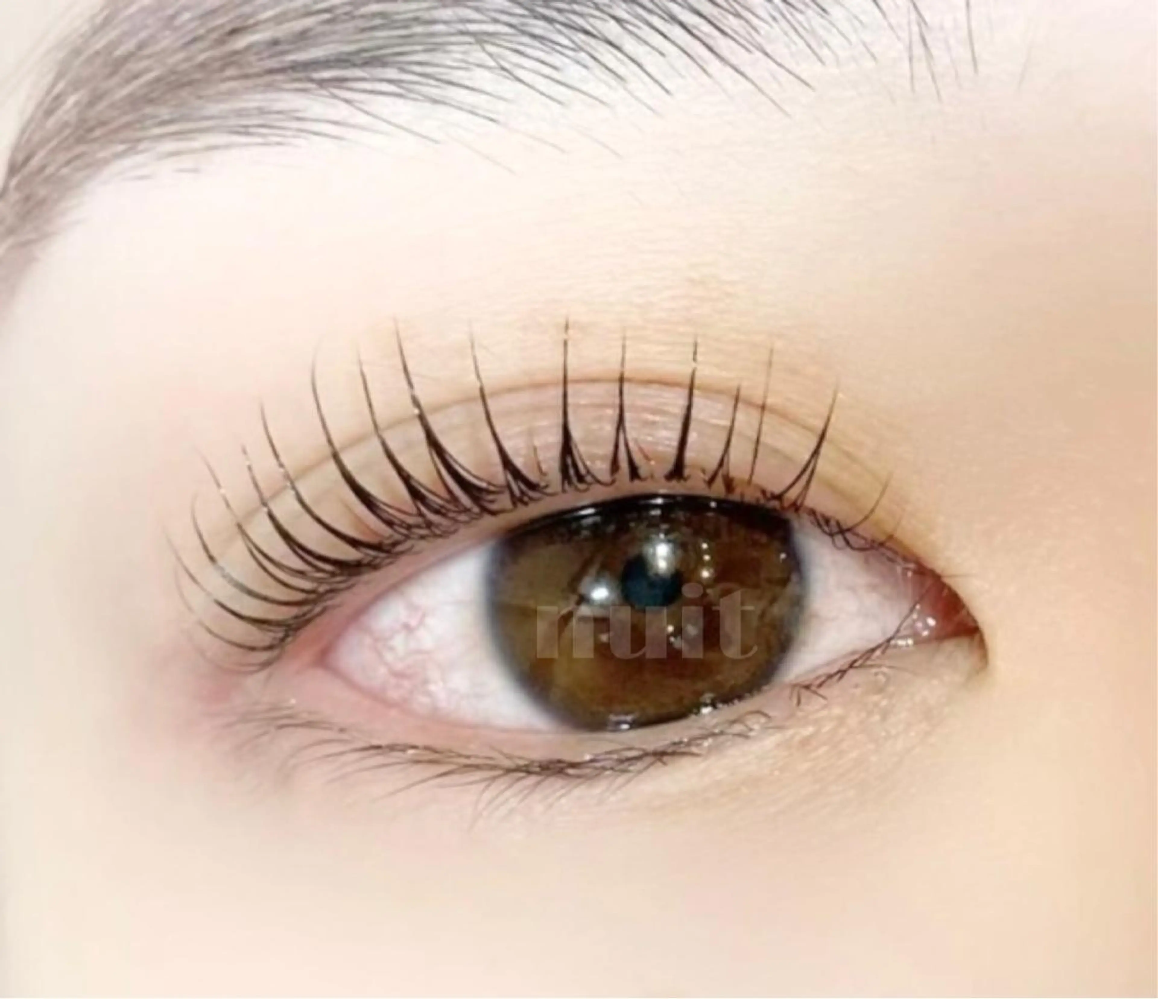 マツエク・マツパ パリジェンヌラッシュリフト nuit 【ニュイ】 大宮 /　yucaのマツエク・マツパデザイン