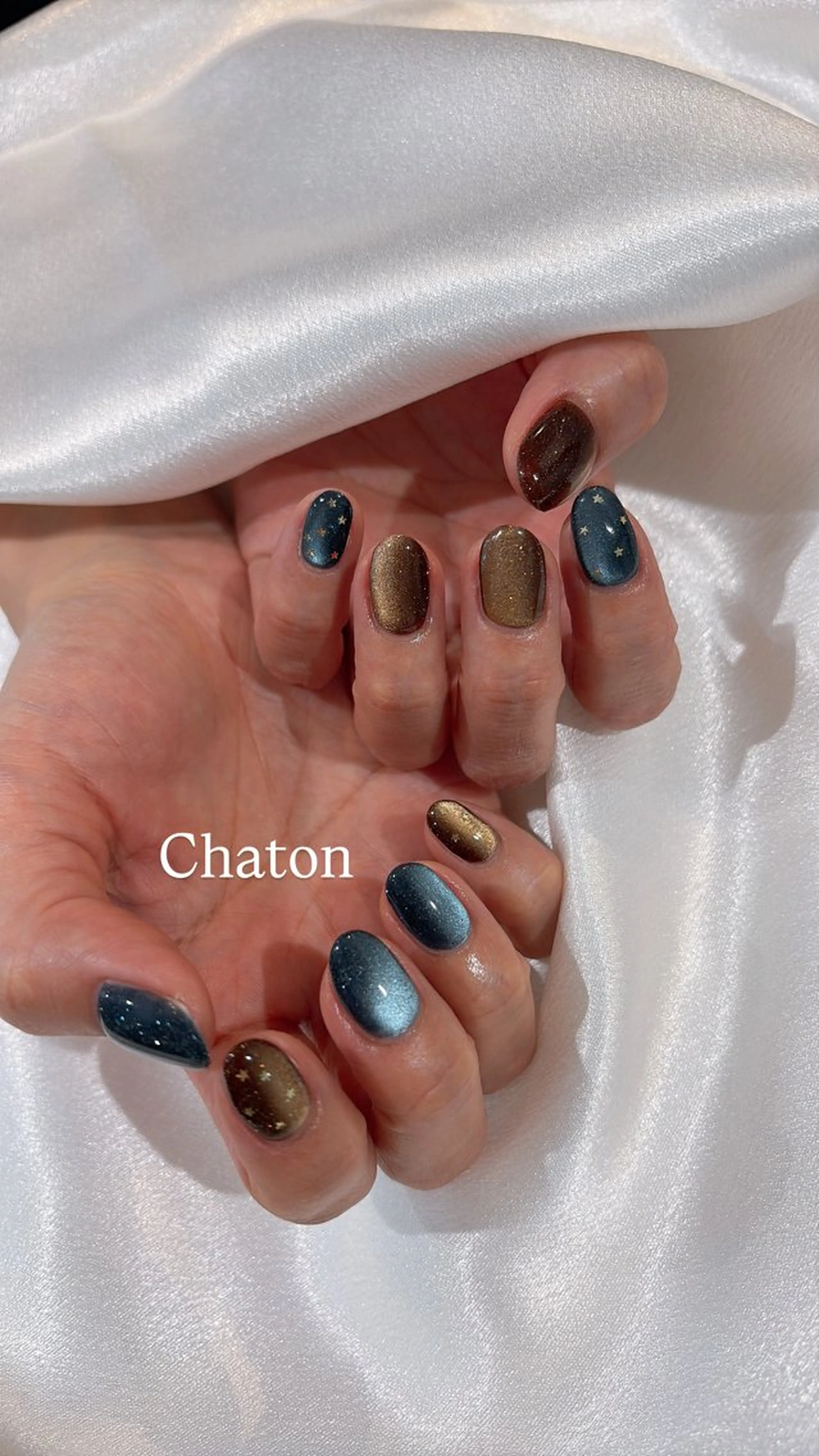 ネイル マグネットネイル Chaton TAKAGIのネイルデザイン