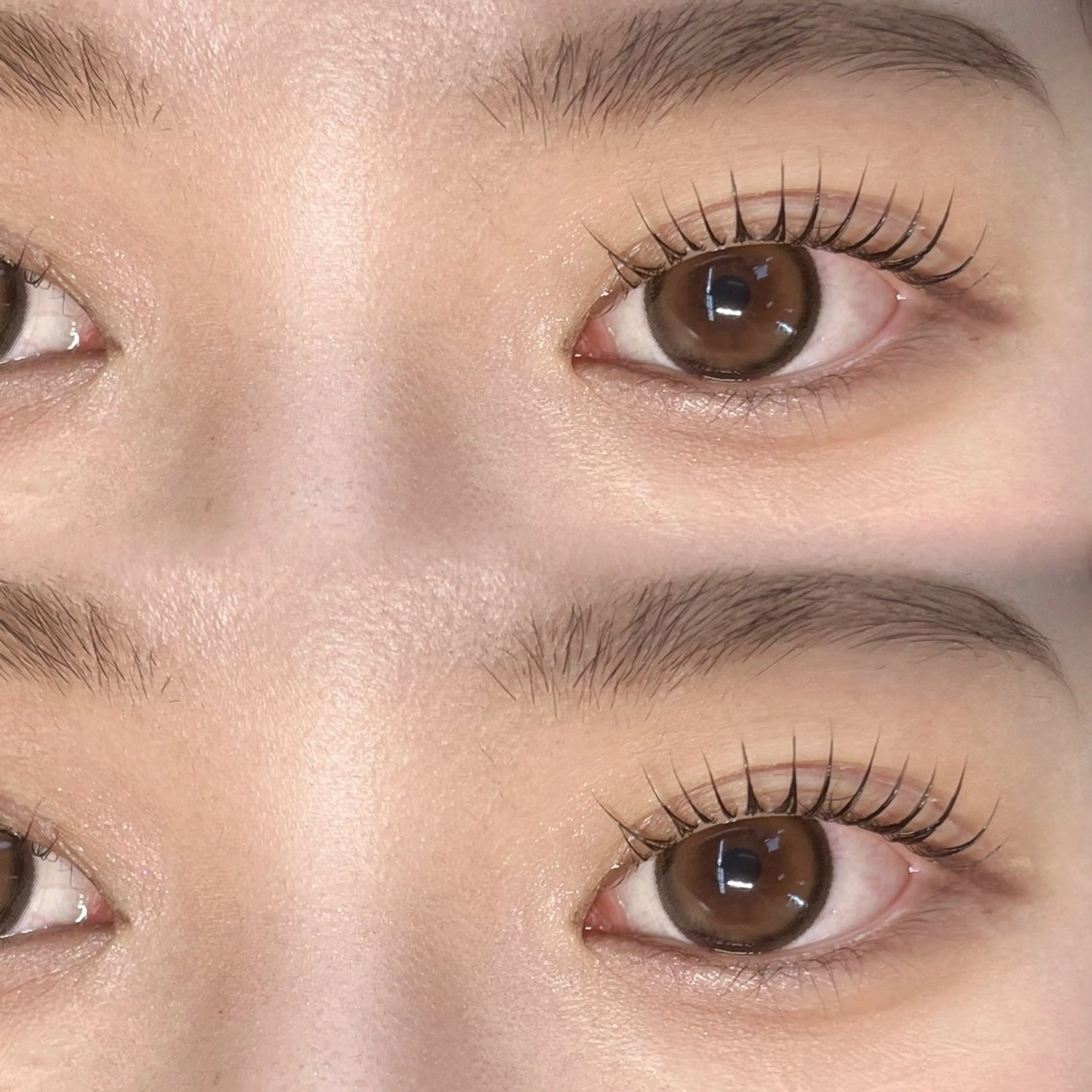 マツエク・マツパ Lupines🐱 SHIHORIのマツエク・マツパデザイン