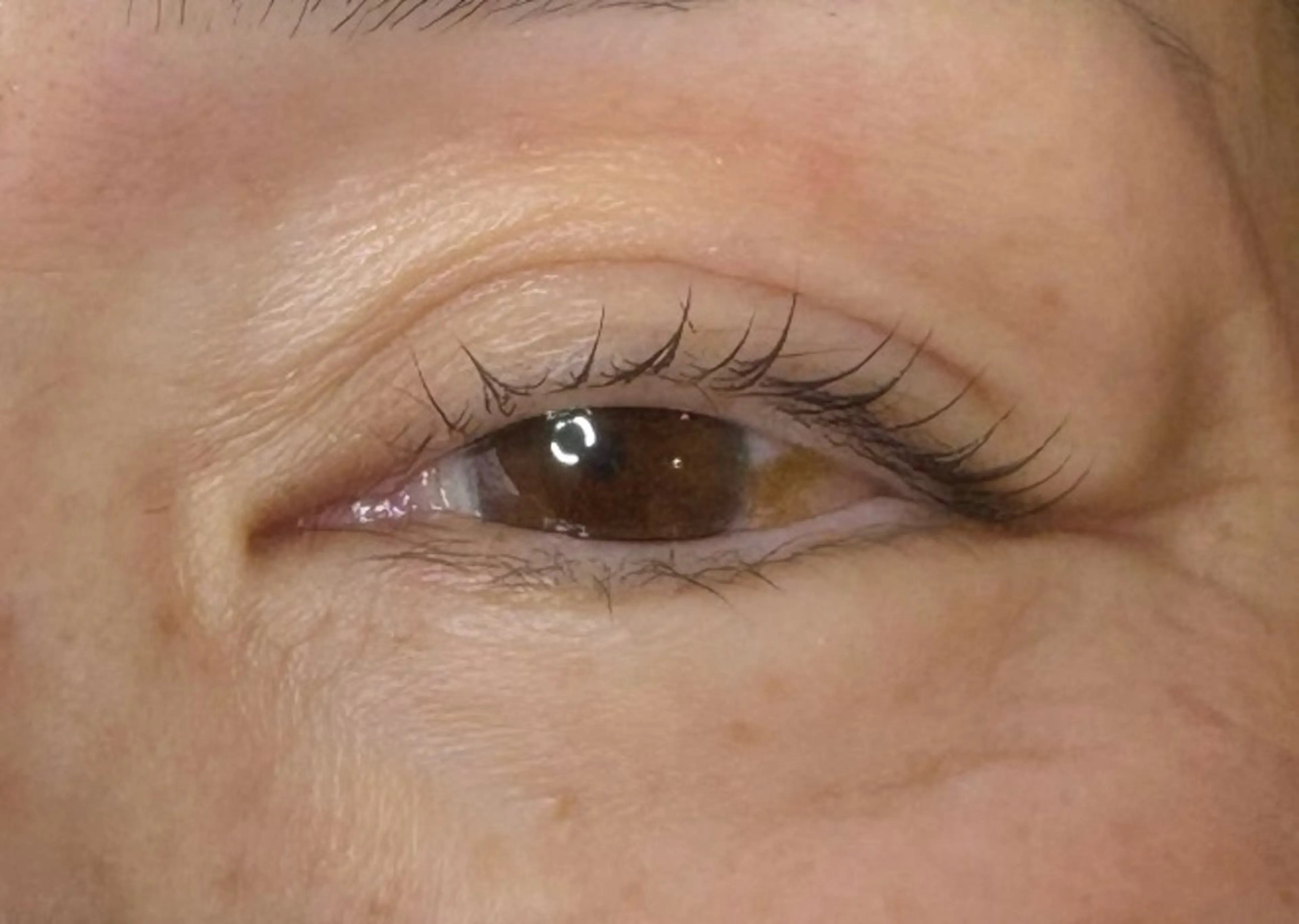 マツエク・マツパ マツパ BEAUTY LAND 才記🌻のマツエク・マツパデザイン