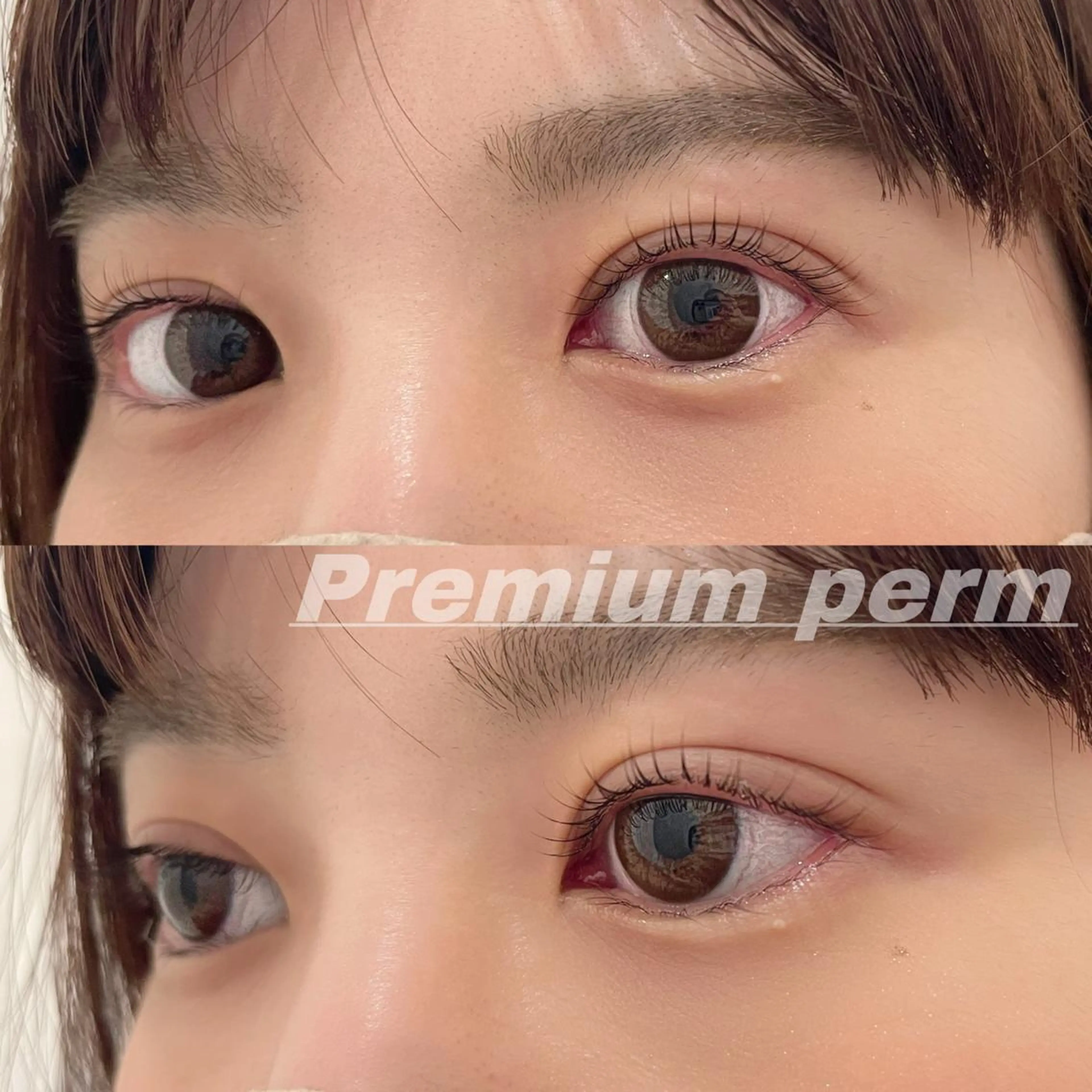 マツエク・マツパ 一重×まつ毛パーマ マツパ Eye ELSA lash栄店の眉毛・アイブロウイメージ