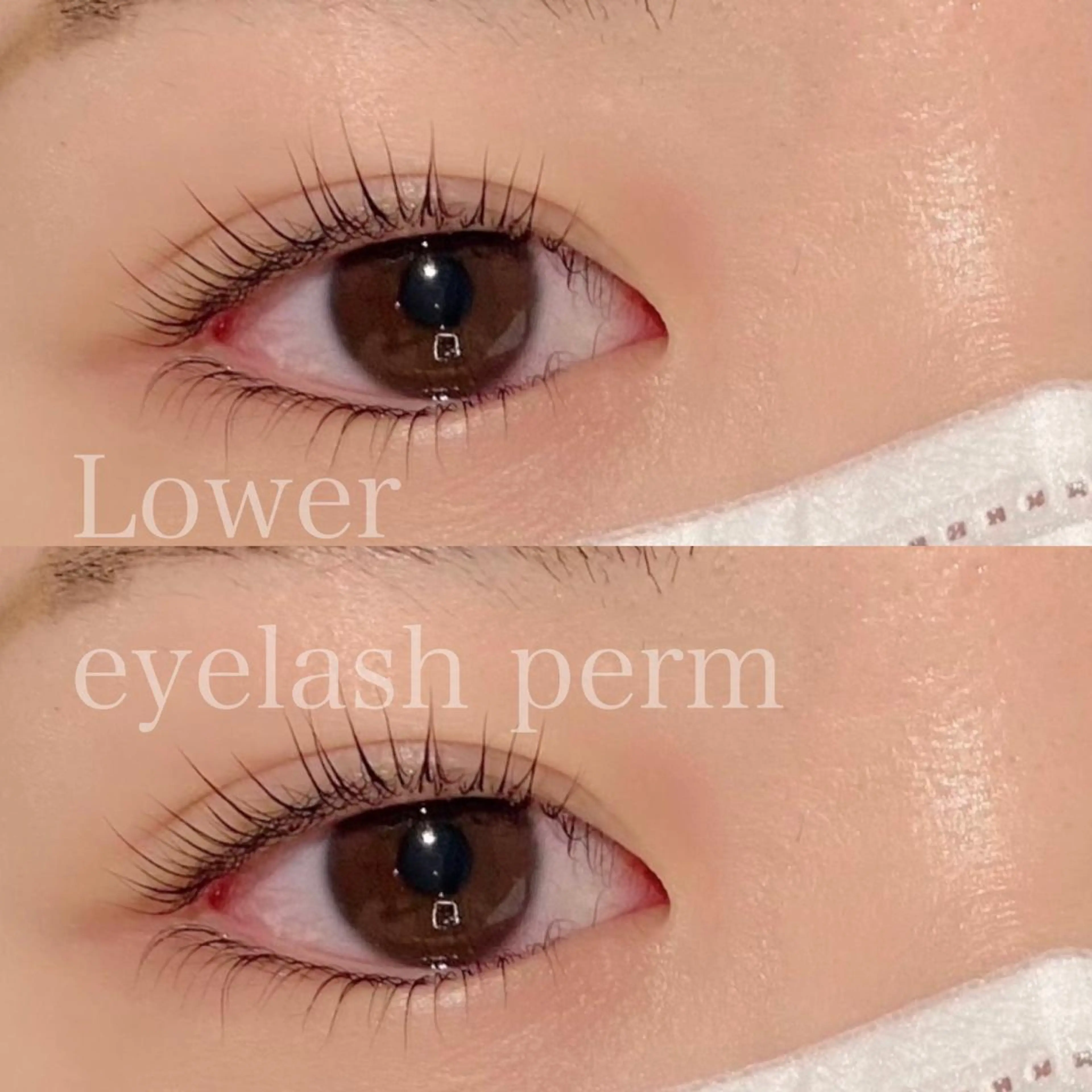 🎀下まつげパーマ🎀ケアトリートメント付き🫧逆さまつげさんにオススメです🧸の写真