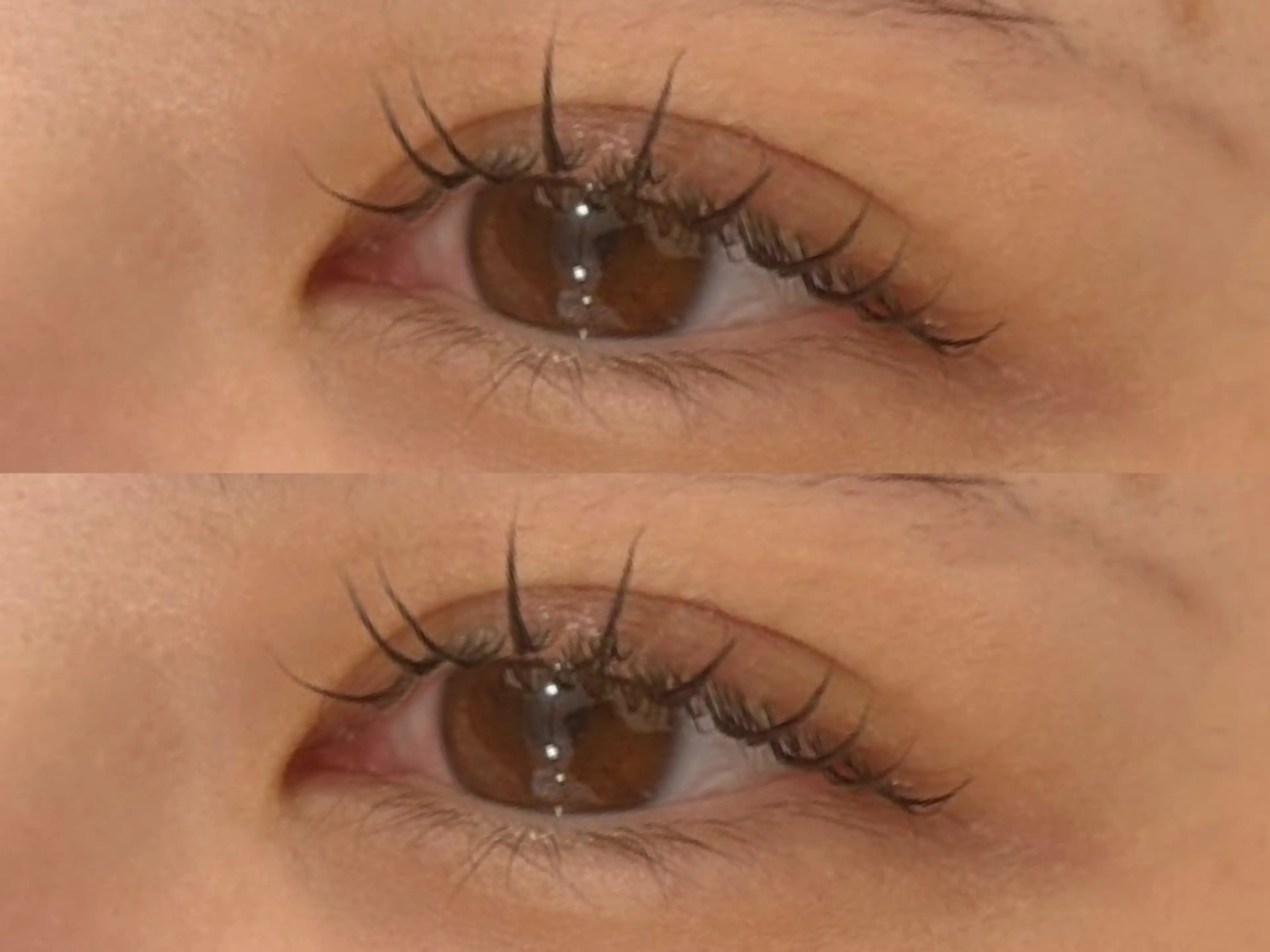 🎀当日予約限定🎀ラッシュリフト🩶の写真