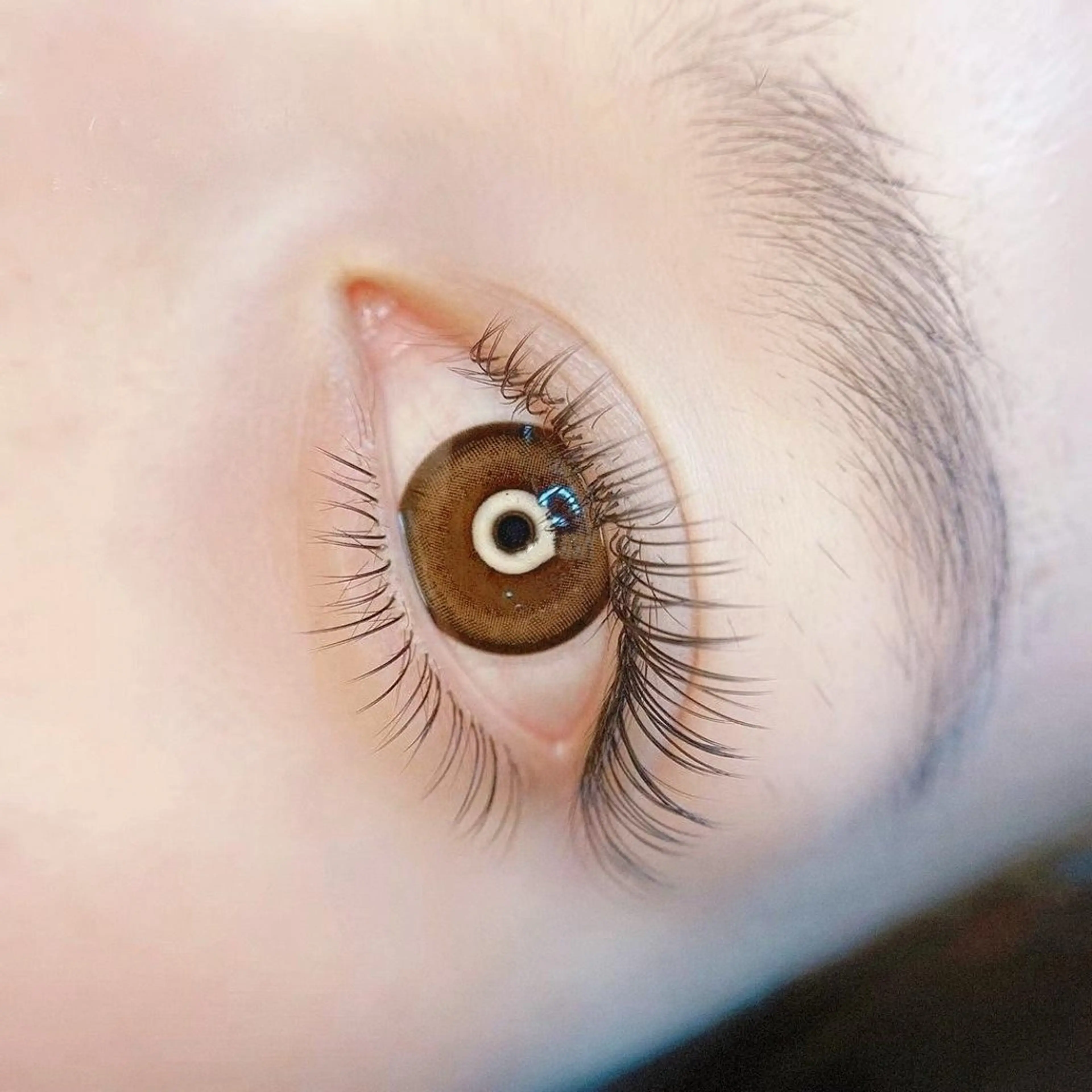 マツエク・マツパ ネイルリボン 本家のネイルデザイン