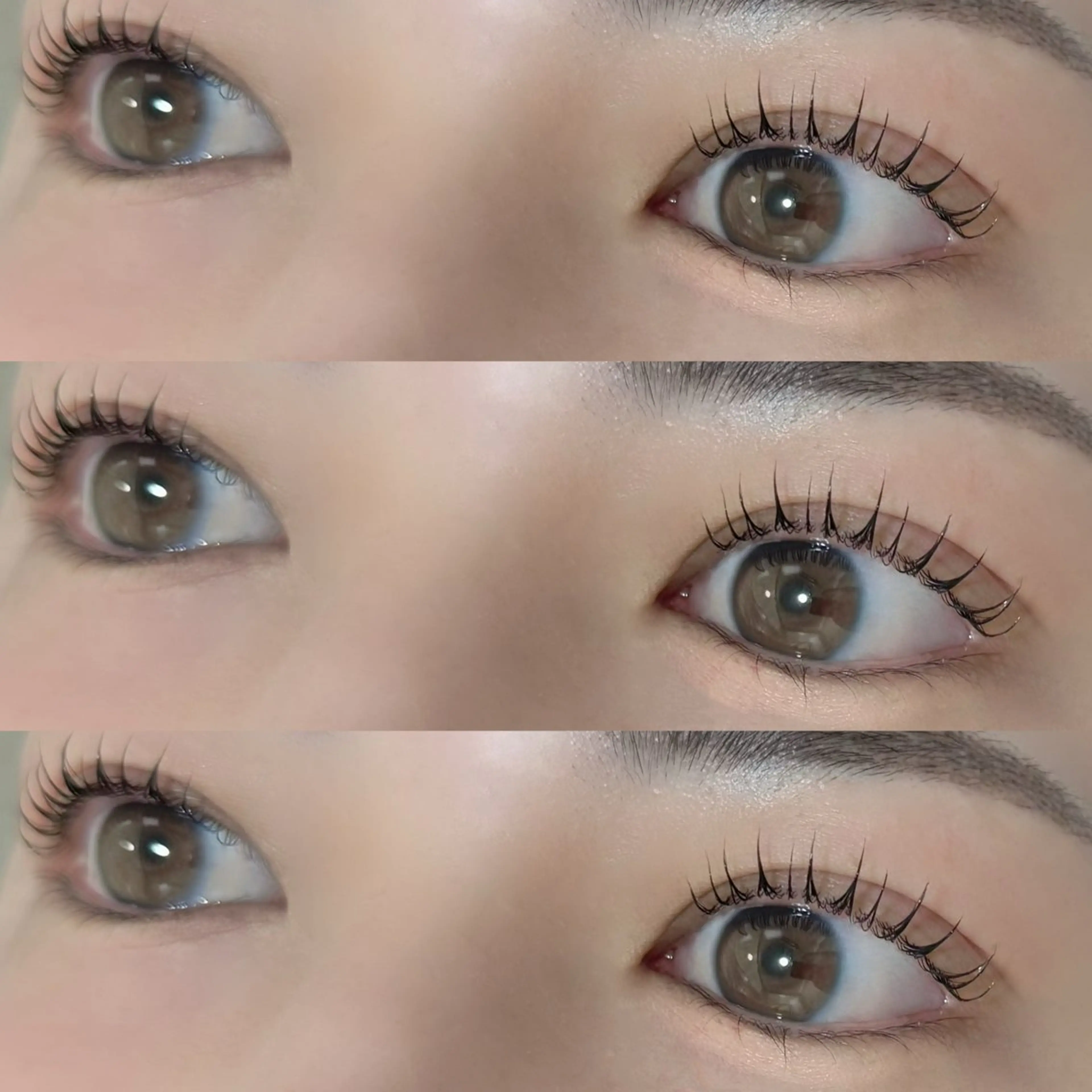 【当日限定/初回クーポン・9~13日限定・韓国風まつげパーマ・コーティング付き】の写真