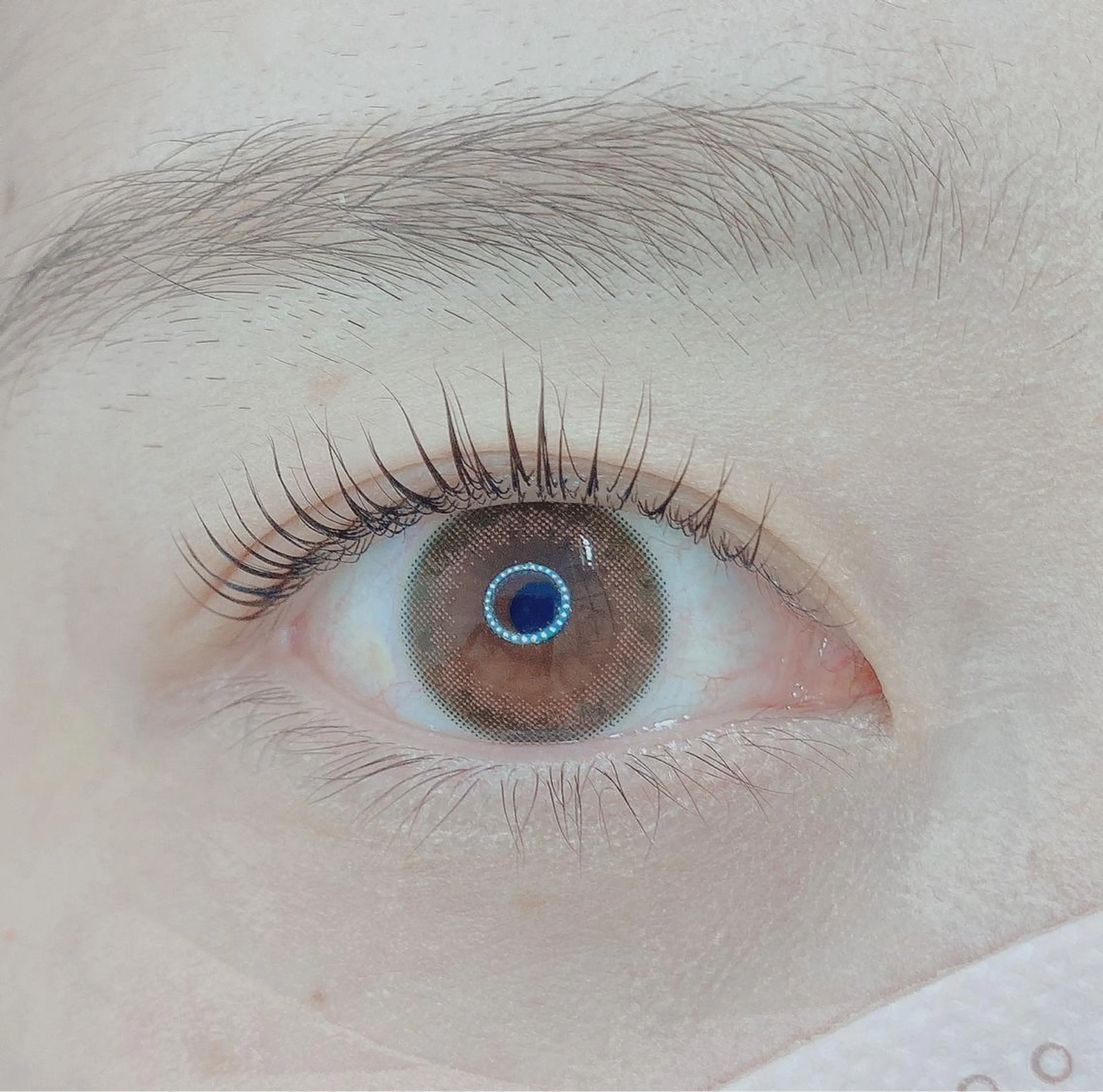 マツエク・マツパ TIARA池袋西口店 店長YASUKA💐のマツエク・マツパデザイン