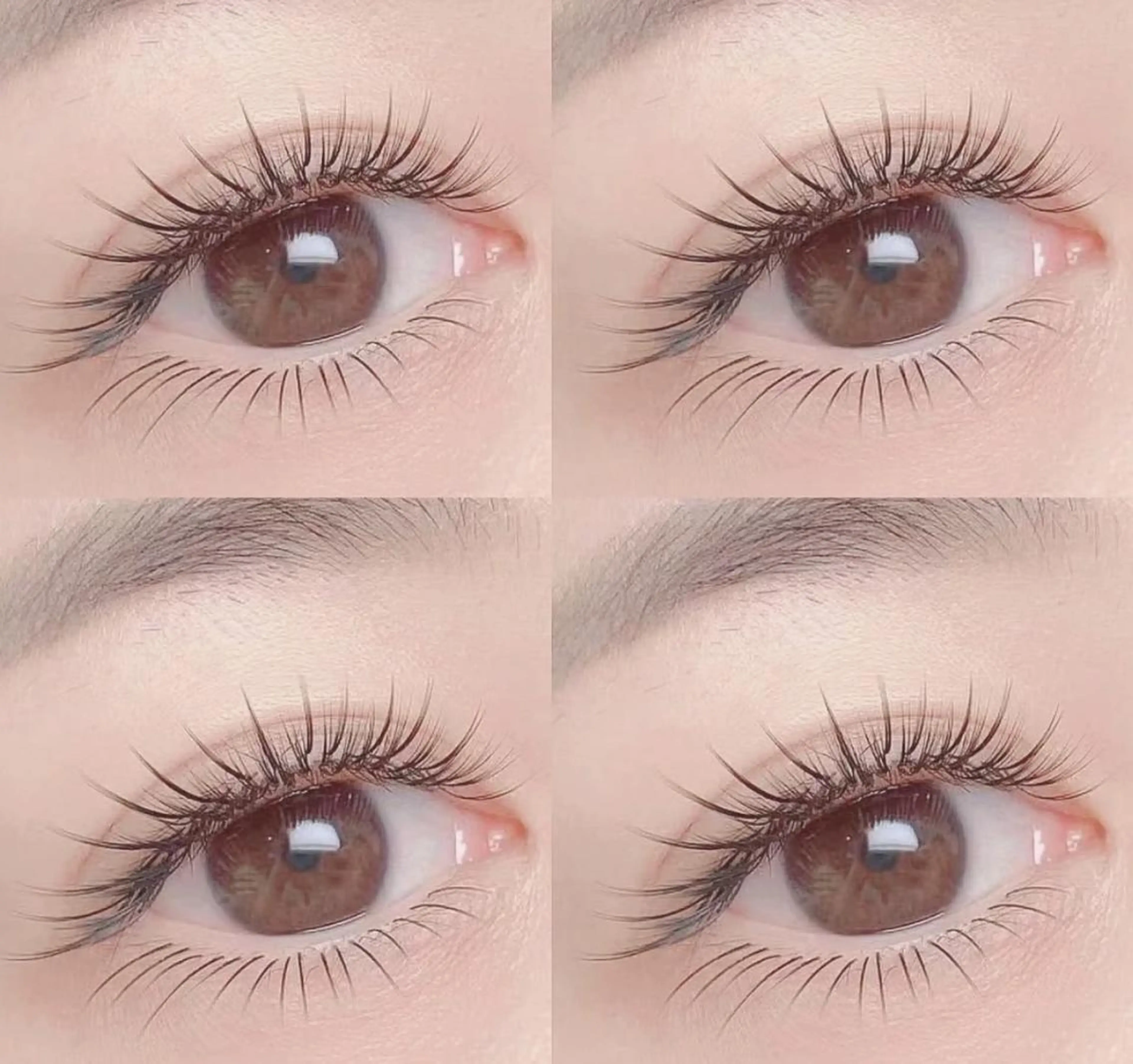 マツエク・マツパ Cute B e au t yのマツエク・マツパデザイン