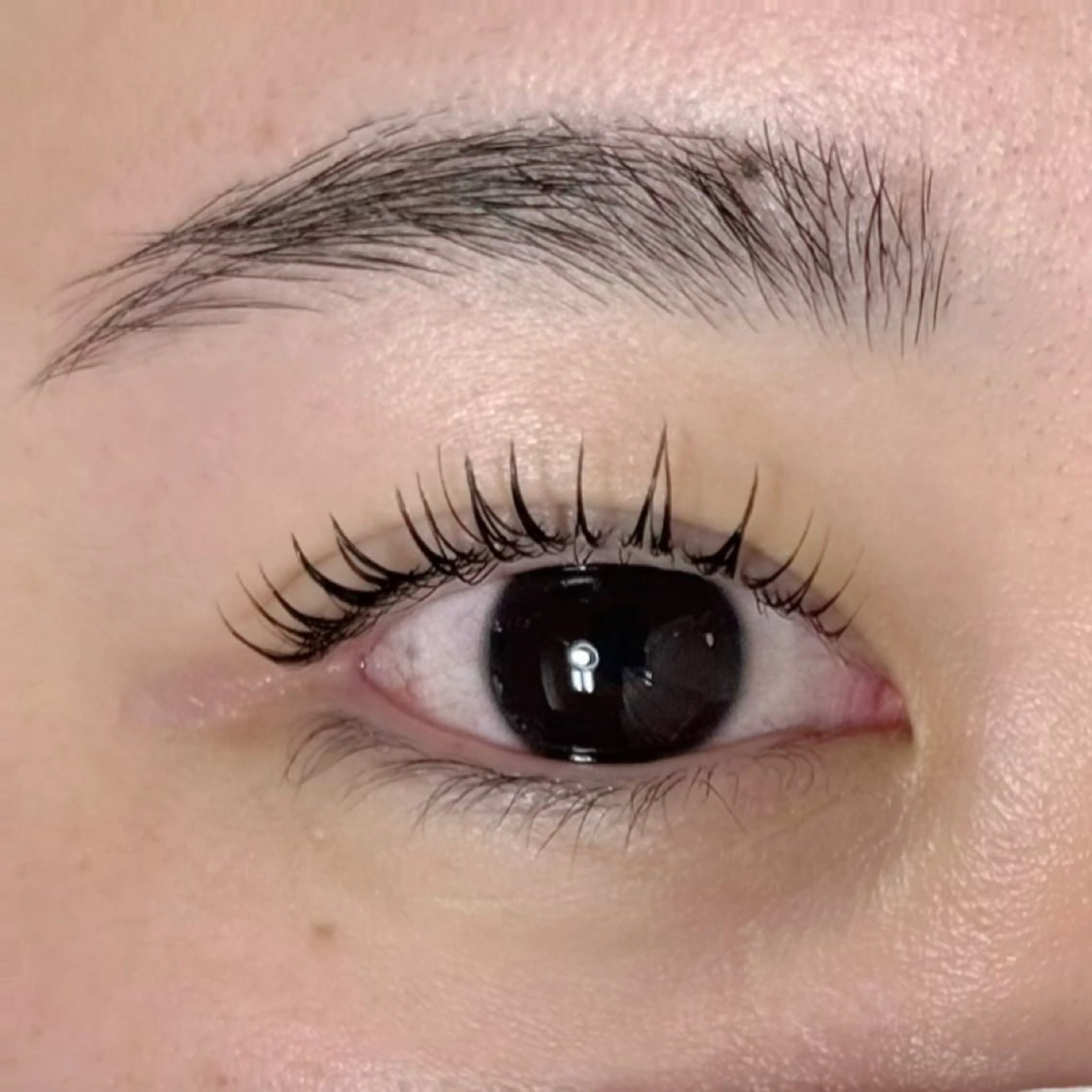 マツエク・マツパ 一重×まつ毛パーマ マツパ Lea lea所属・Hashimoto Fuuのマツエク・マツパデザイン