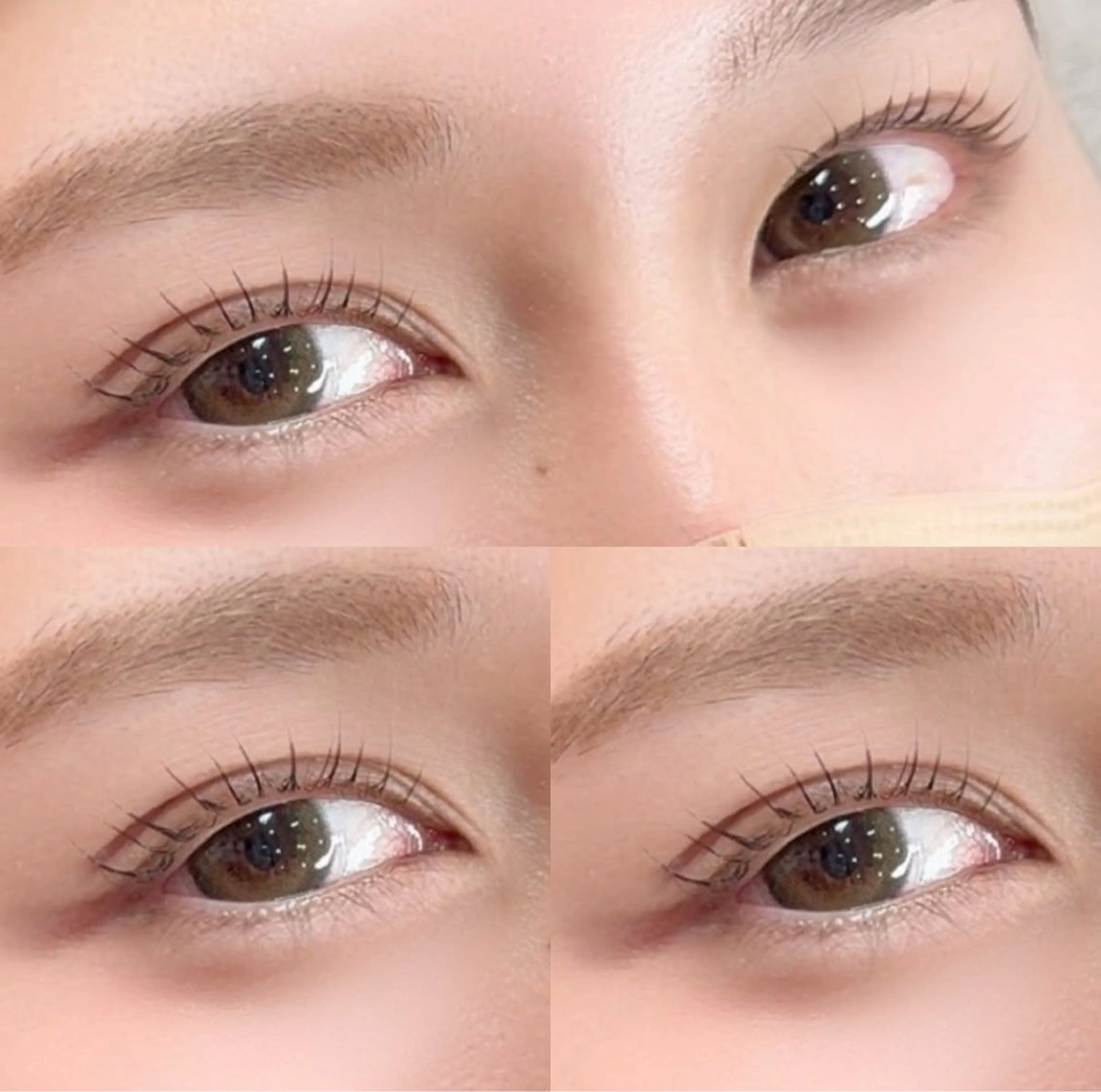 *⋆⸜ 平日限定 ⸝⋆*‬　ラッシュリフト上下(TR付)の写真