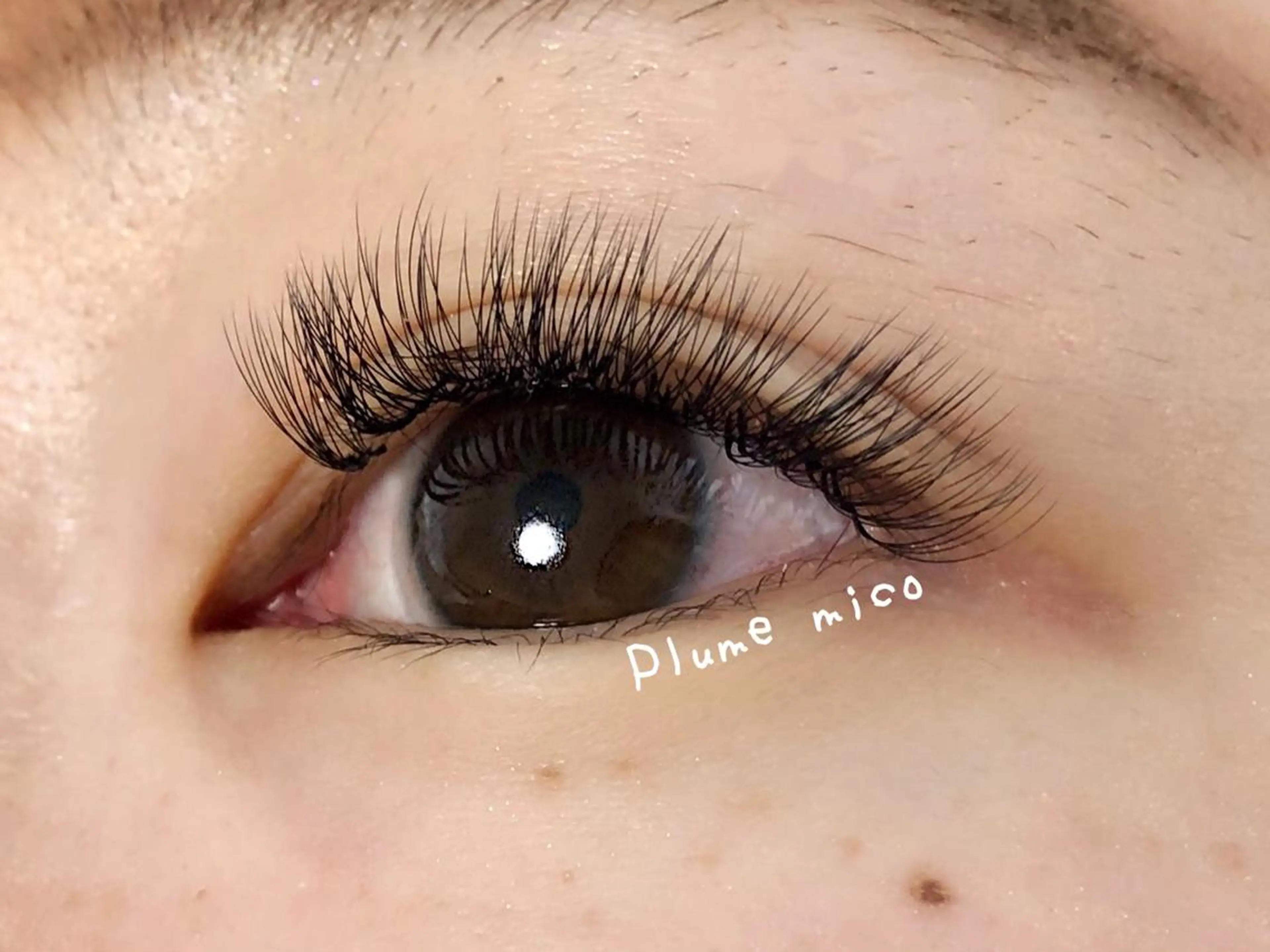 マツエク・マツパ CCカール Cカール マツエク Plume micoのマツエク・マツパデザイン