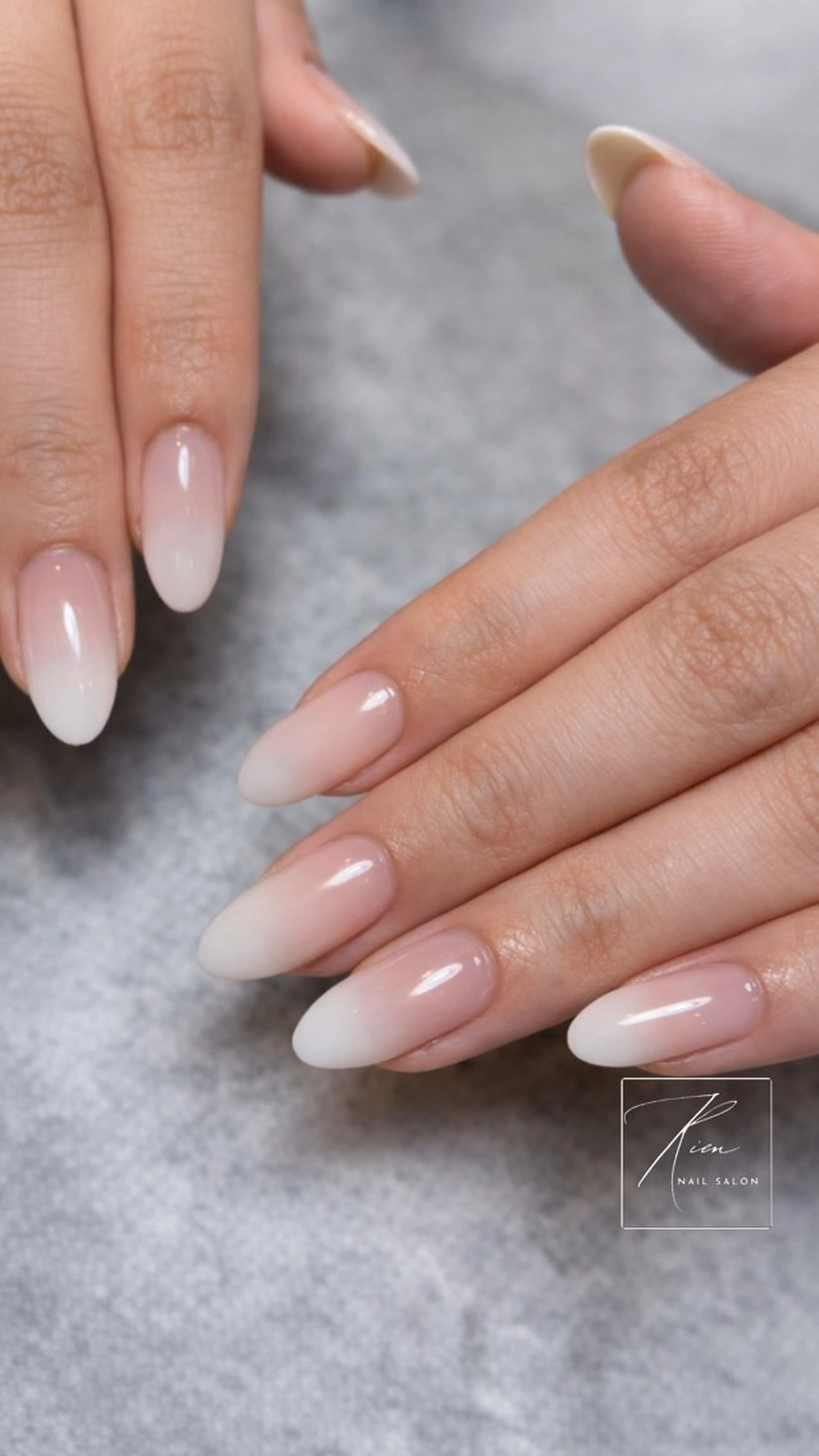 ベイビーブーマー【オフあり】の写真