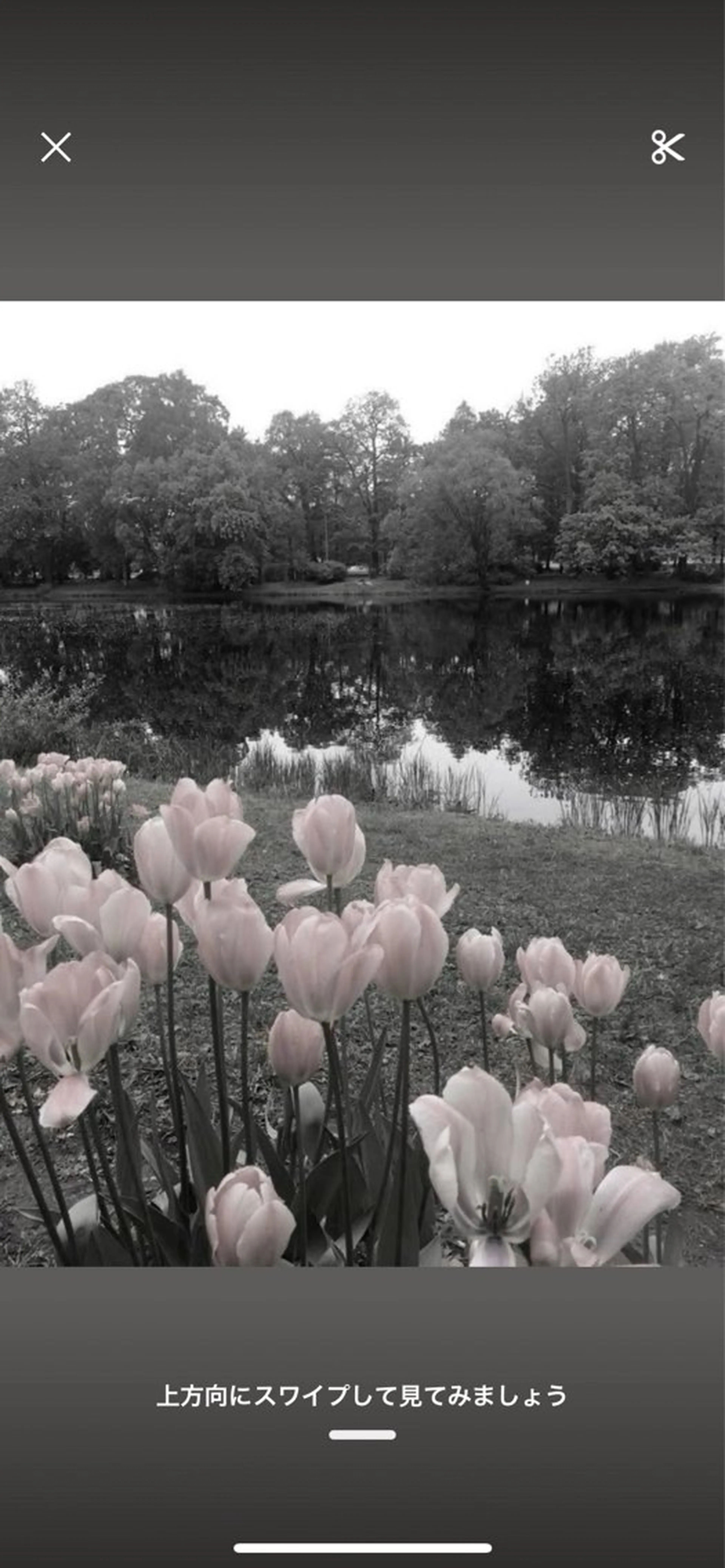 Aujuaシャンプー➕Aujua システムトリートメント🫧の写真