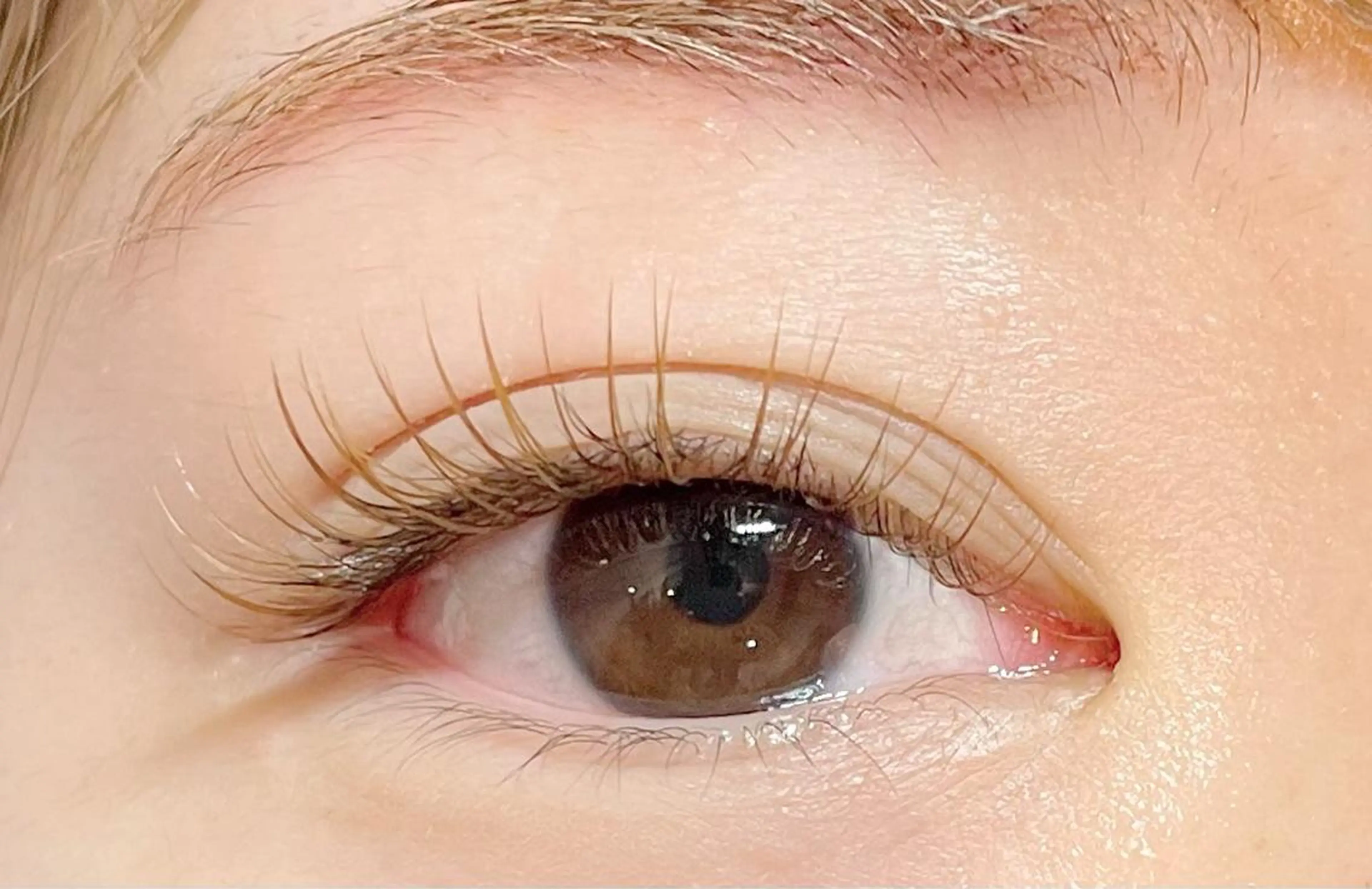 マツエク・マツパ マツエク HARIS店長🦋 Ishiguroのマツエク・マツパデザイン