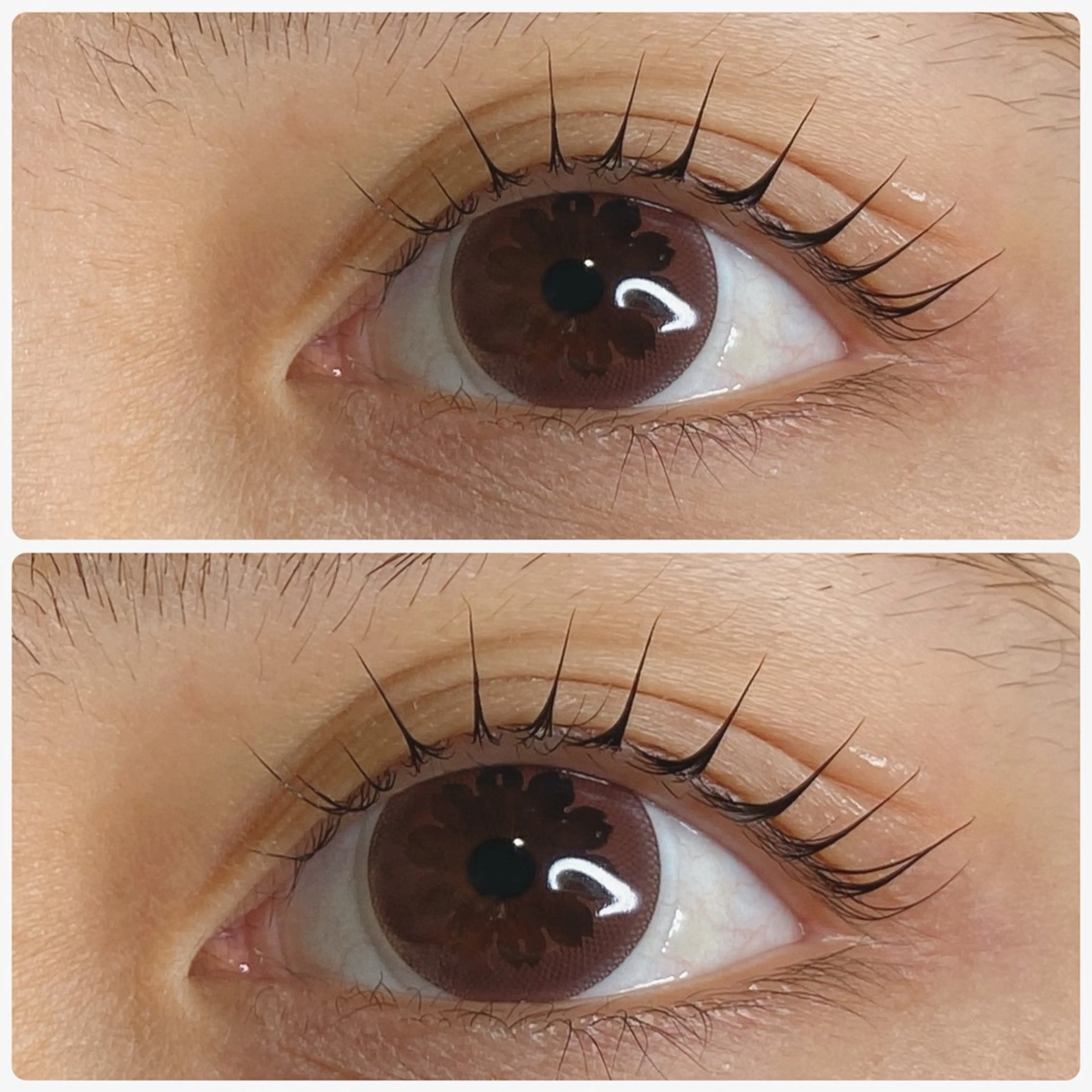 韓国風🇰🇷束感ラッシュリフトまつ毛パーマの写真