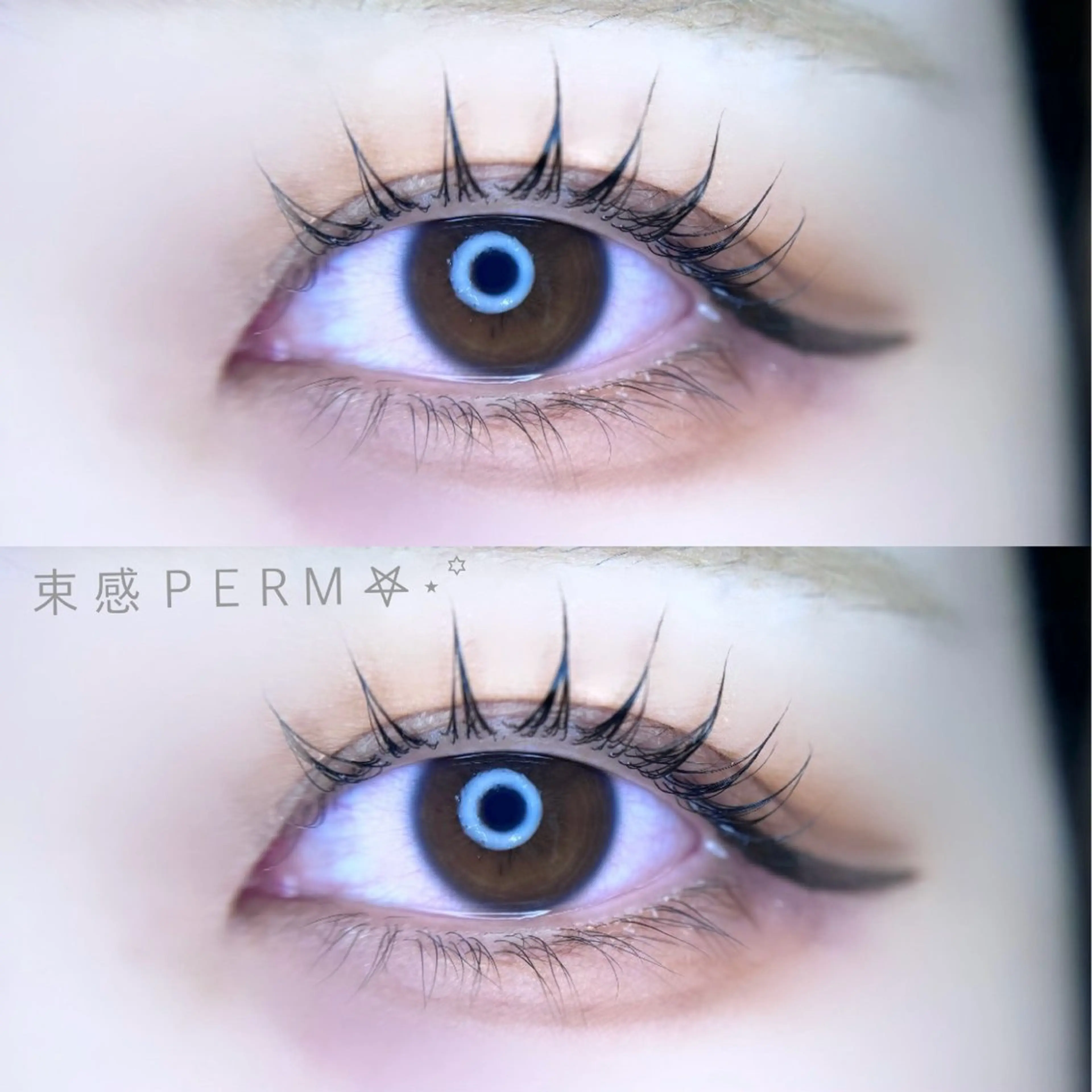 マツエク・マツパ arce -ｱﾙｾ- 🔅ヒマワリのマツエク・マツパデザイン