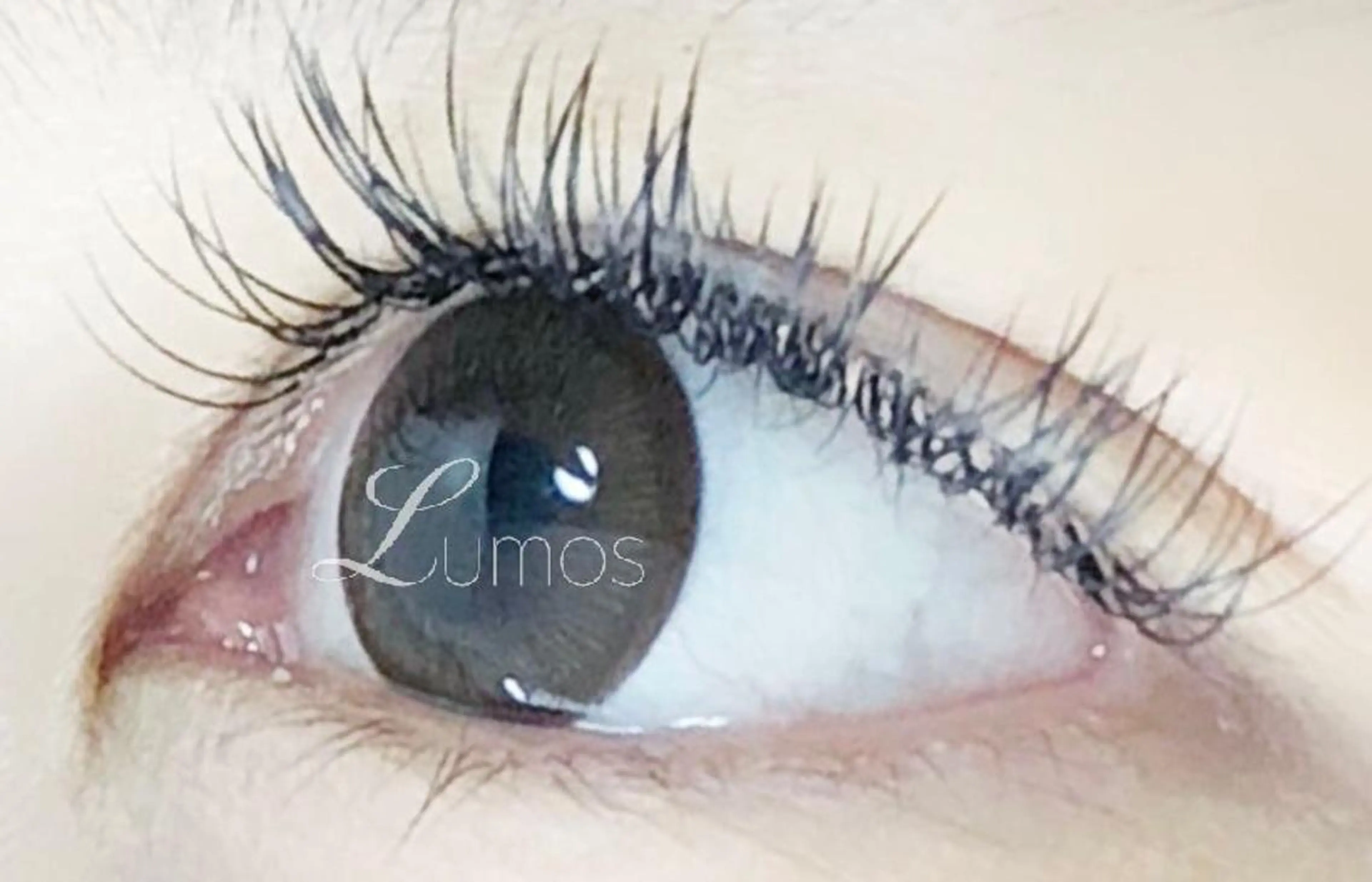 マツエク・マツパ セーブル マツエク Lumos nail&eyelash所属・Lumos Ayakaのマツエク・マツパデザイン