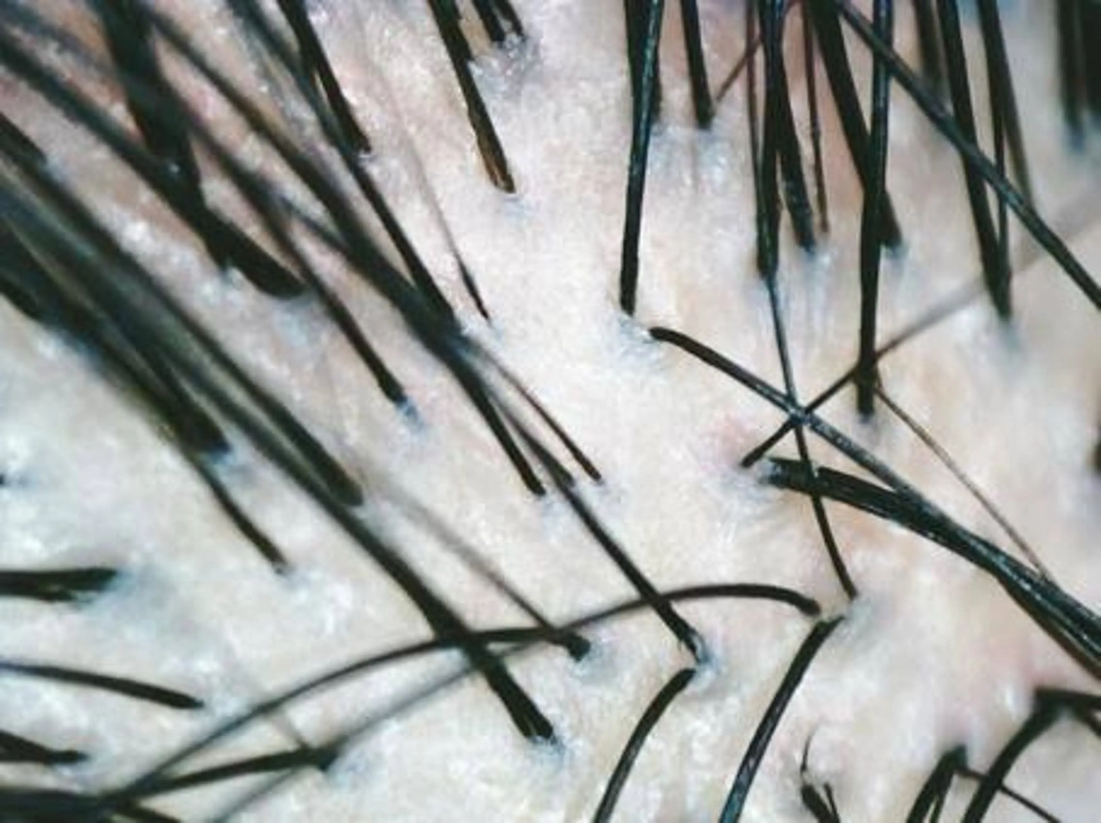 🥀スパ二スト 🫧ゆいな🥀のヘアスタイル