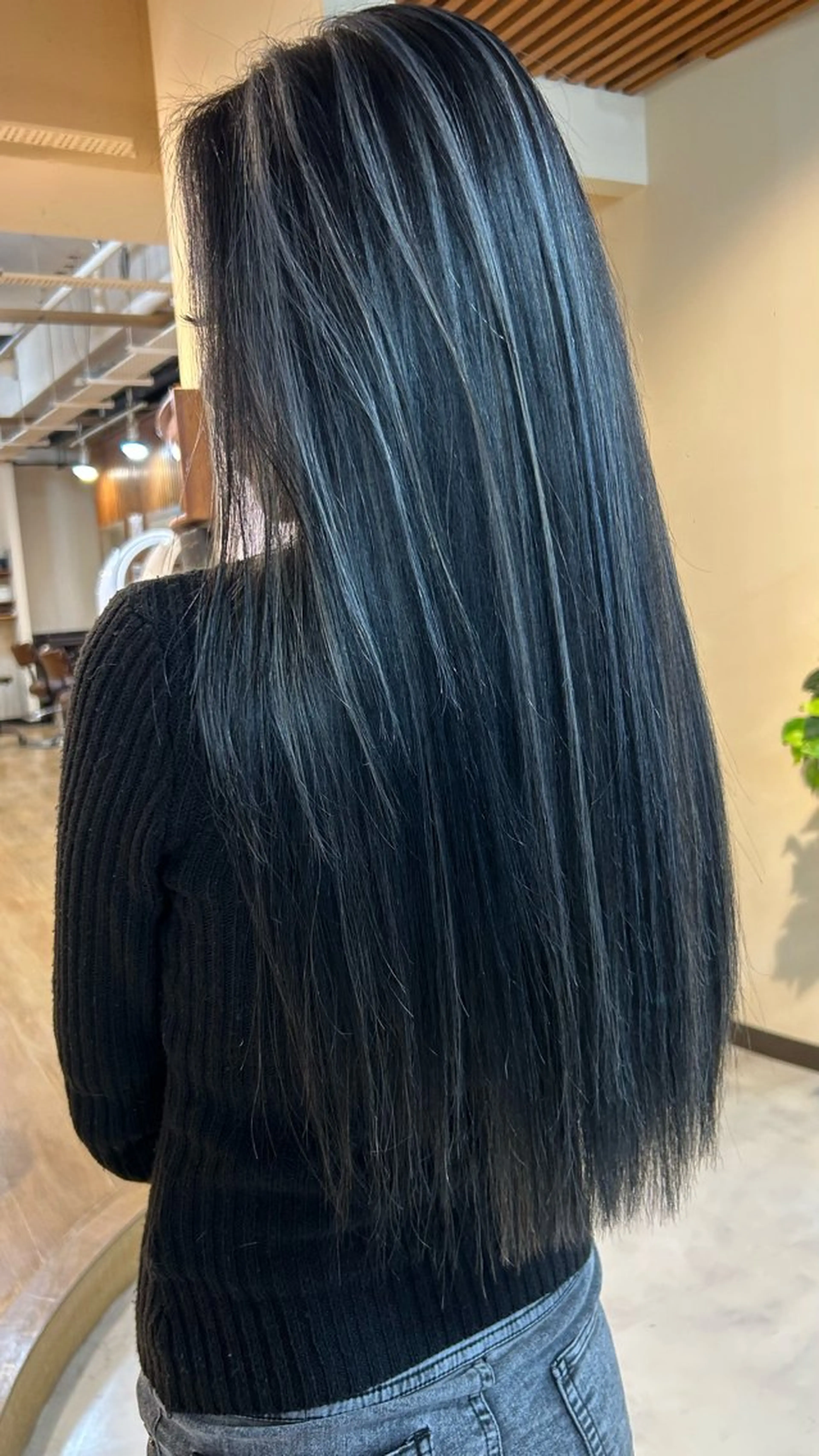 ロング カラー バレイヤージュ 黒髪 ハイライトカラー シルバー ハイライト カット ヘアカラー 竹井俊介/悩み解消 /実現性のヘアスタイル