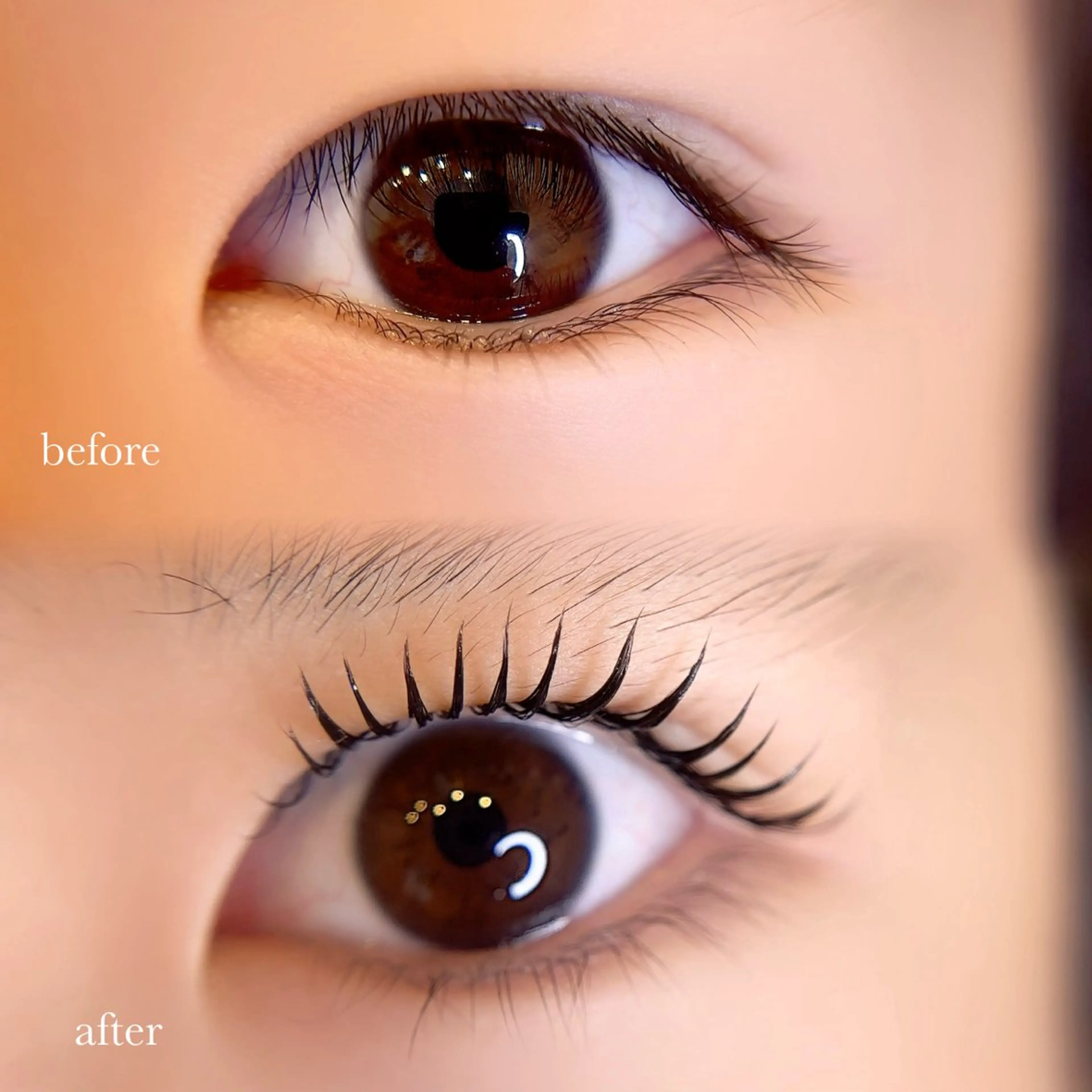 マツエク・マツパ alchemy workzのマツエク・マツパデザイン