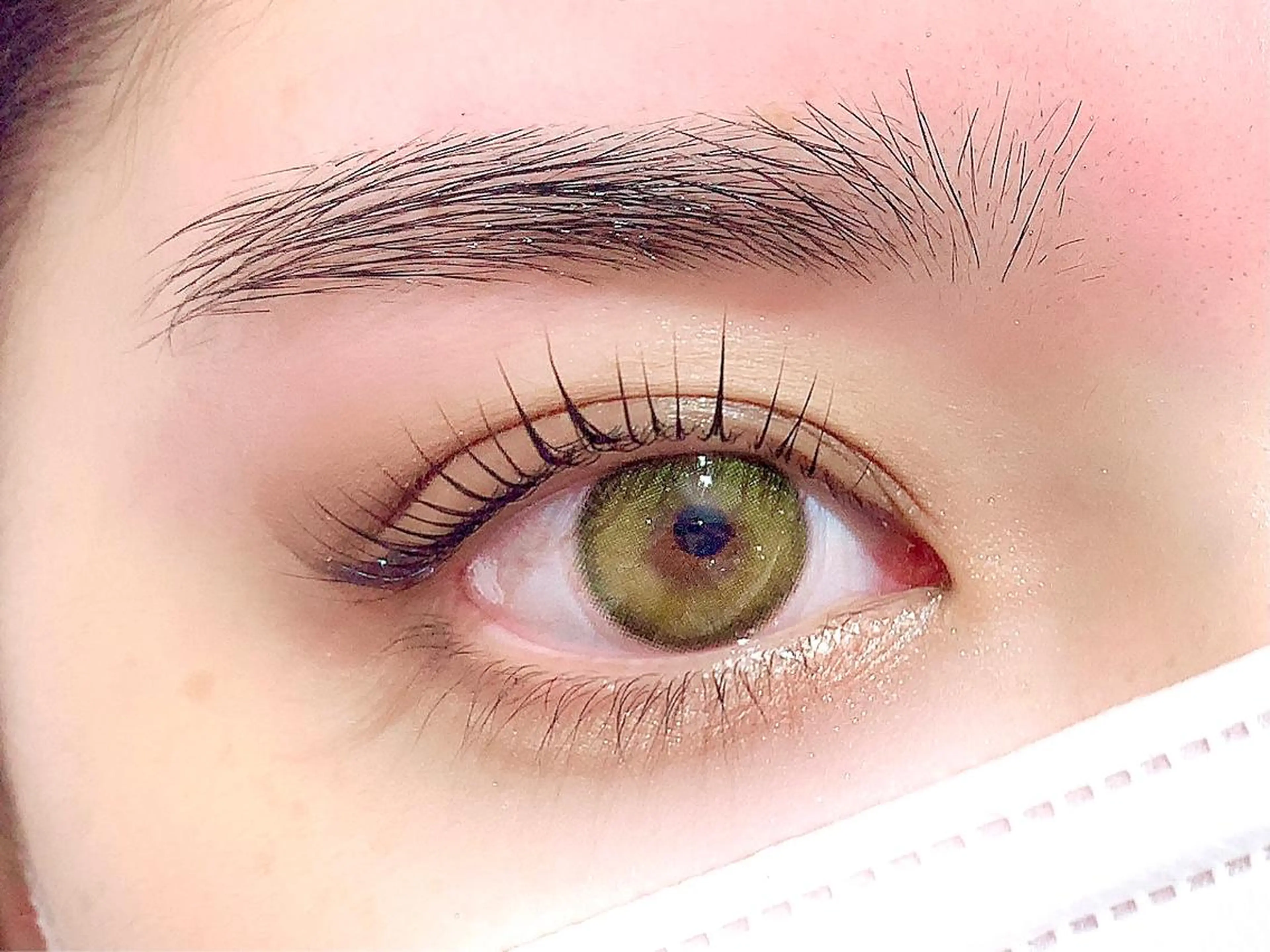 🌿まつ毛パーマ上×眉WAX🧸(パリジェンヌ対応)まつげ眉毛綺麗に♪の写真