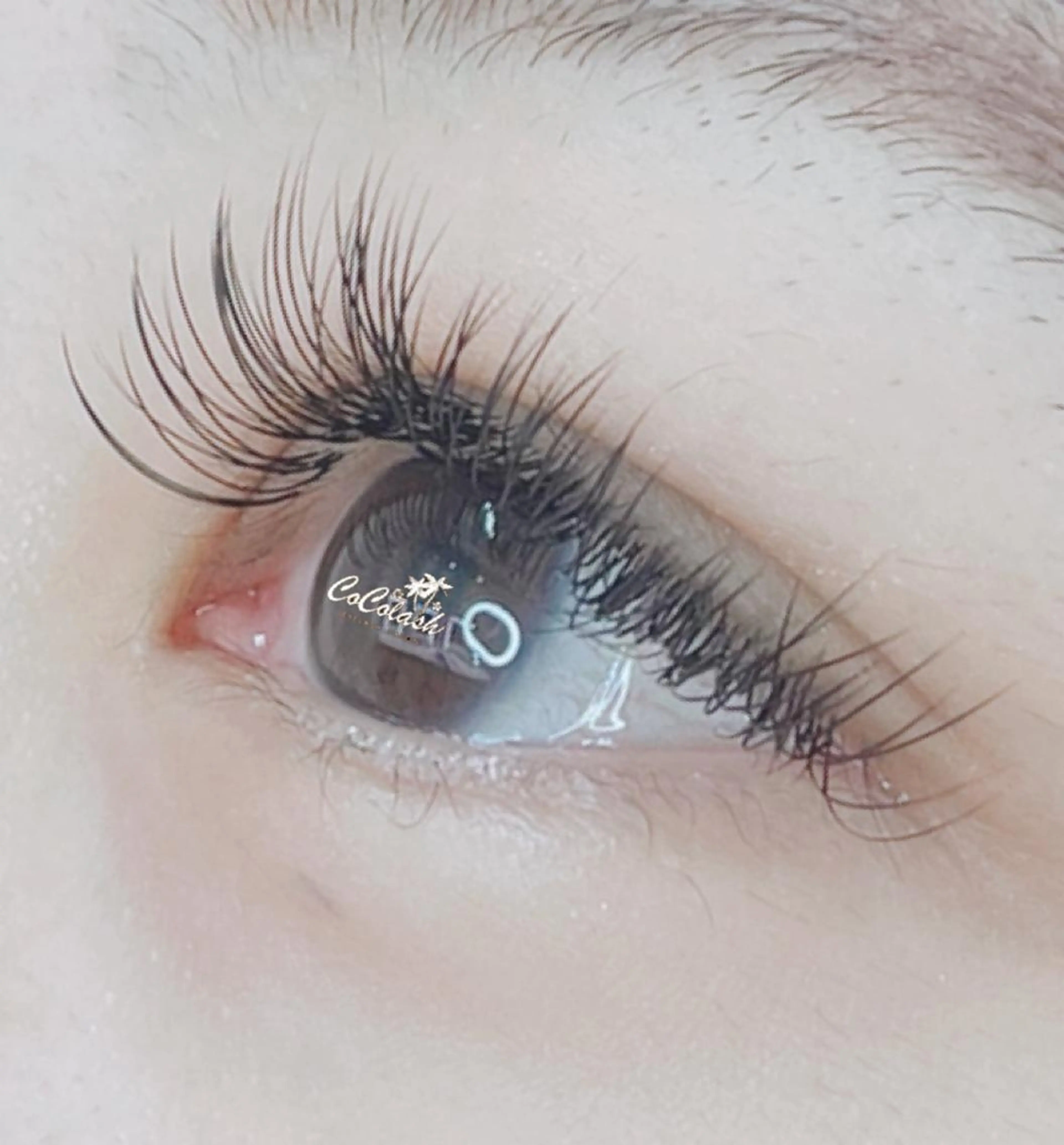 無料☆エクステ練習モデル☆セーブル100本※必ず補足をご確認下さいの写真