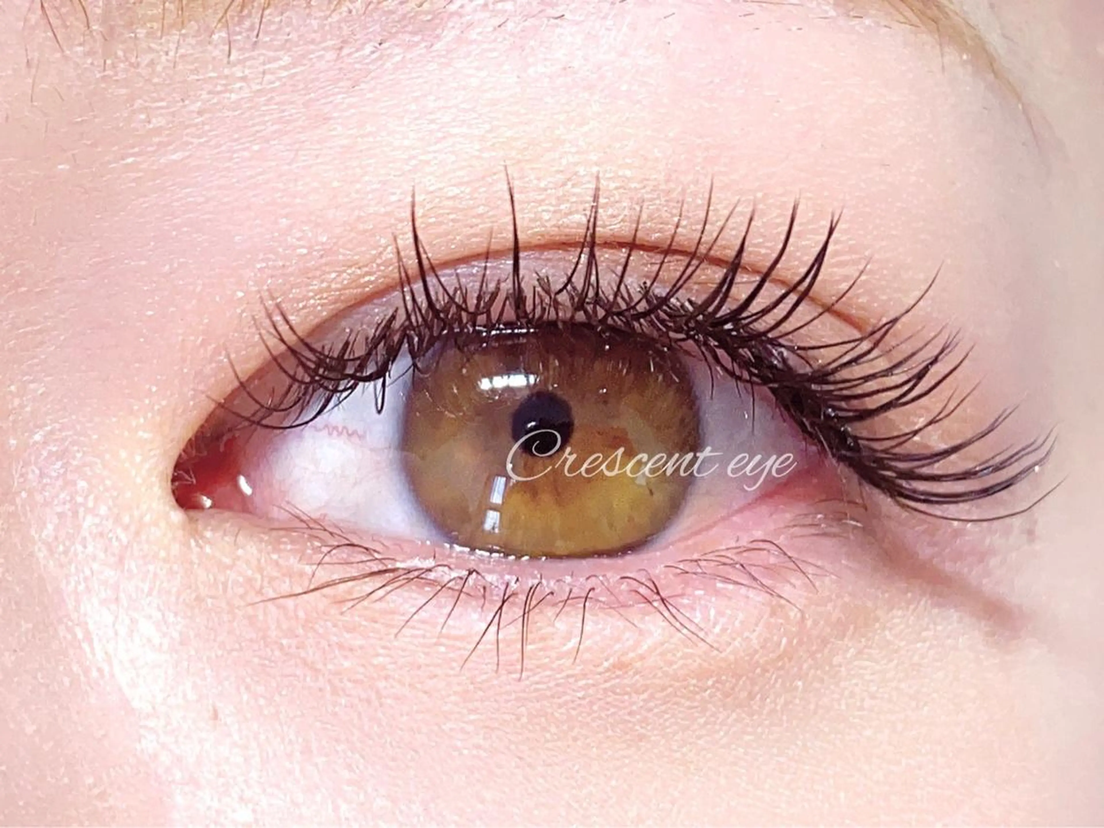 人気No.2🌼全員【最高級レーザーセーブル上付け放題(約160本)】泡洗浄アイシャンプー付の写真