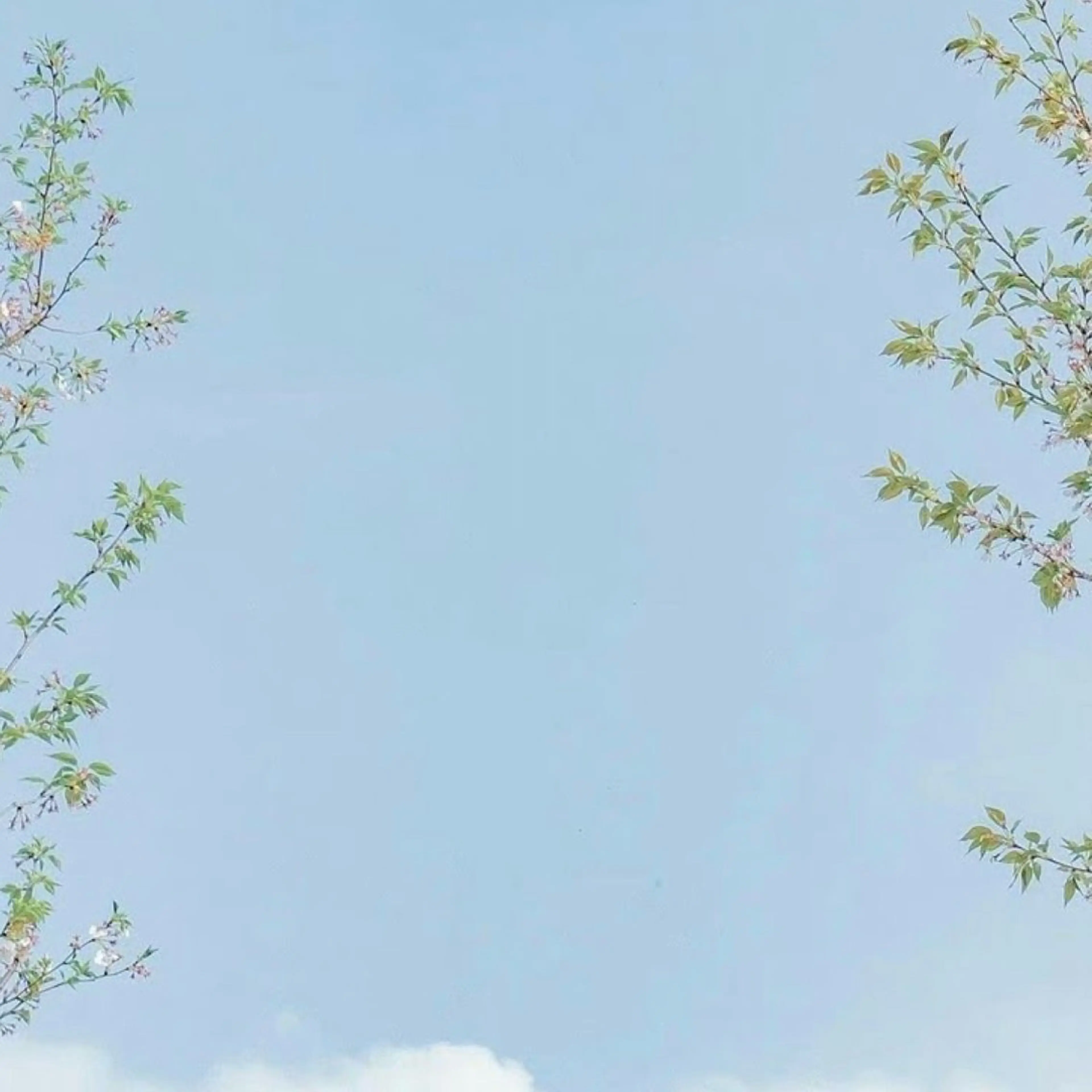 マツエク・マツパ マツパ🦋 keikoのマツエク・マツパデザイン