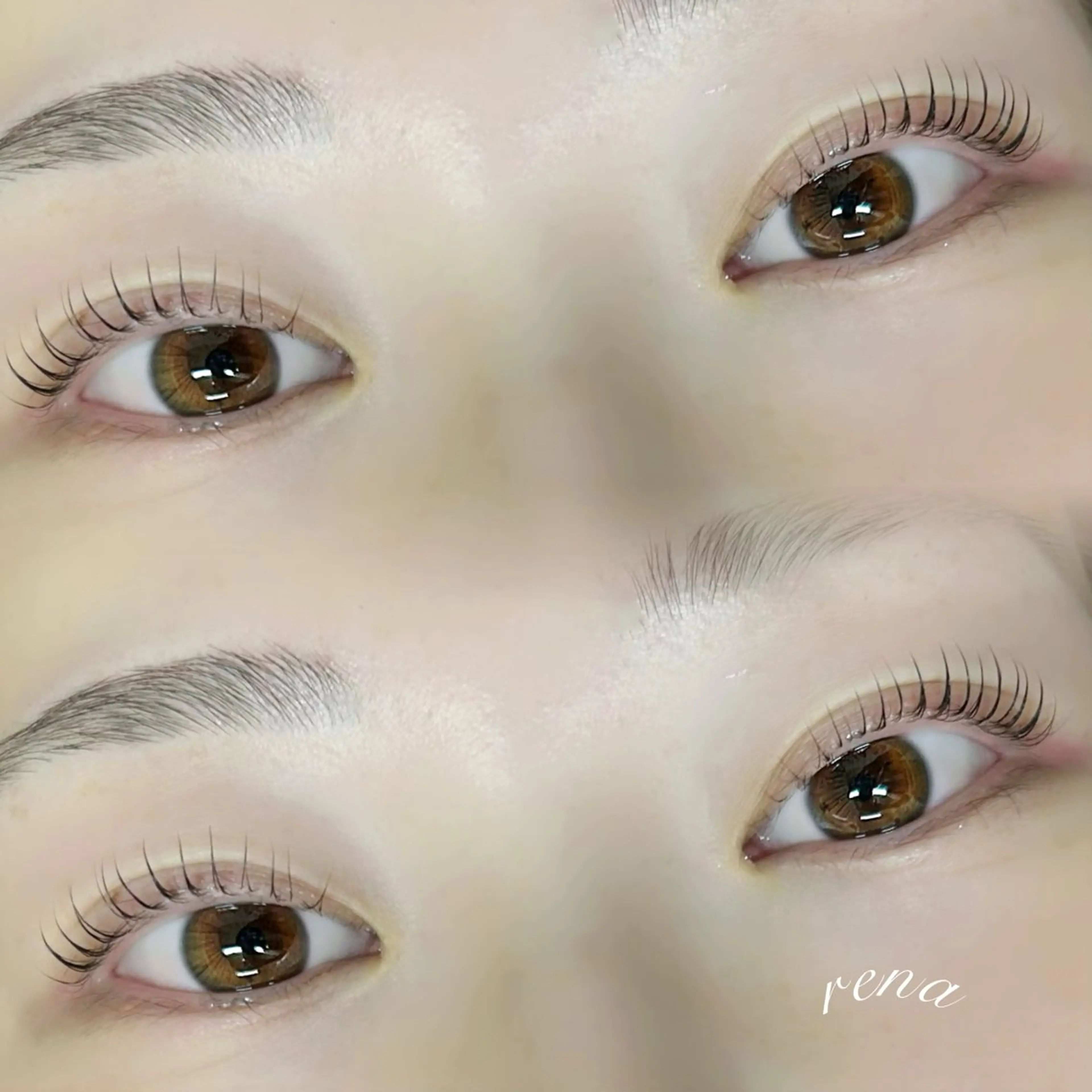 マツエク・マツパ ナチュラル 【lapte】 rena🌙のマツエク・マツパデザイン