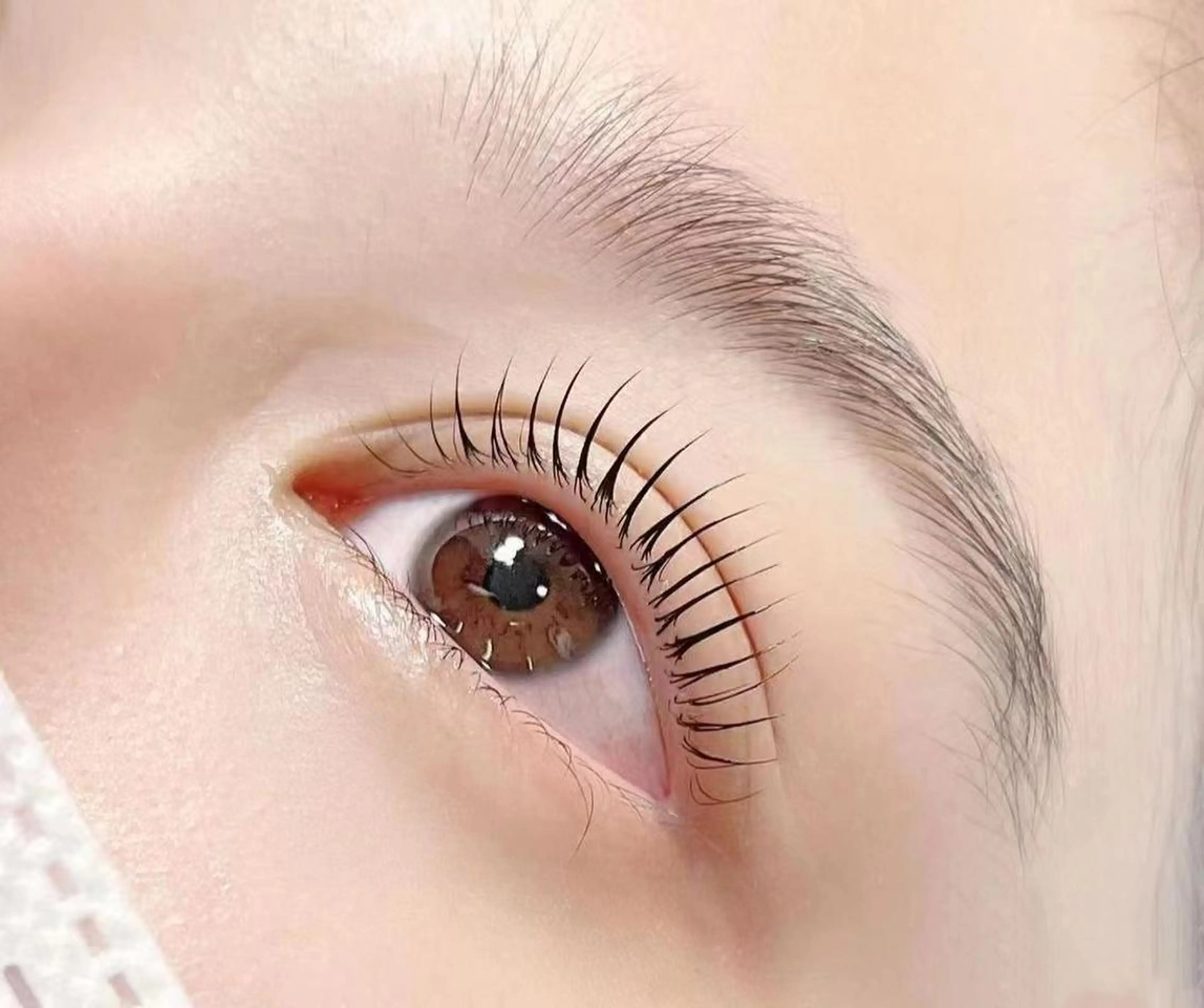 【平日～17時】新規✨ラッシュリフト上✨・美容液付⚠️施術時間45分前後　※17時以降or土日祝+￥300の写真