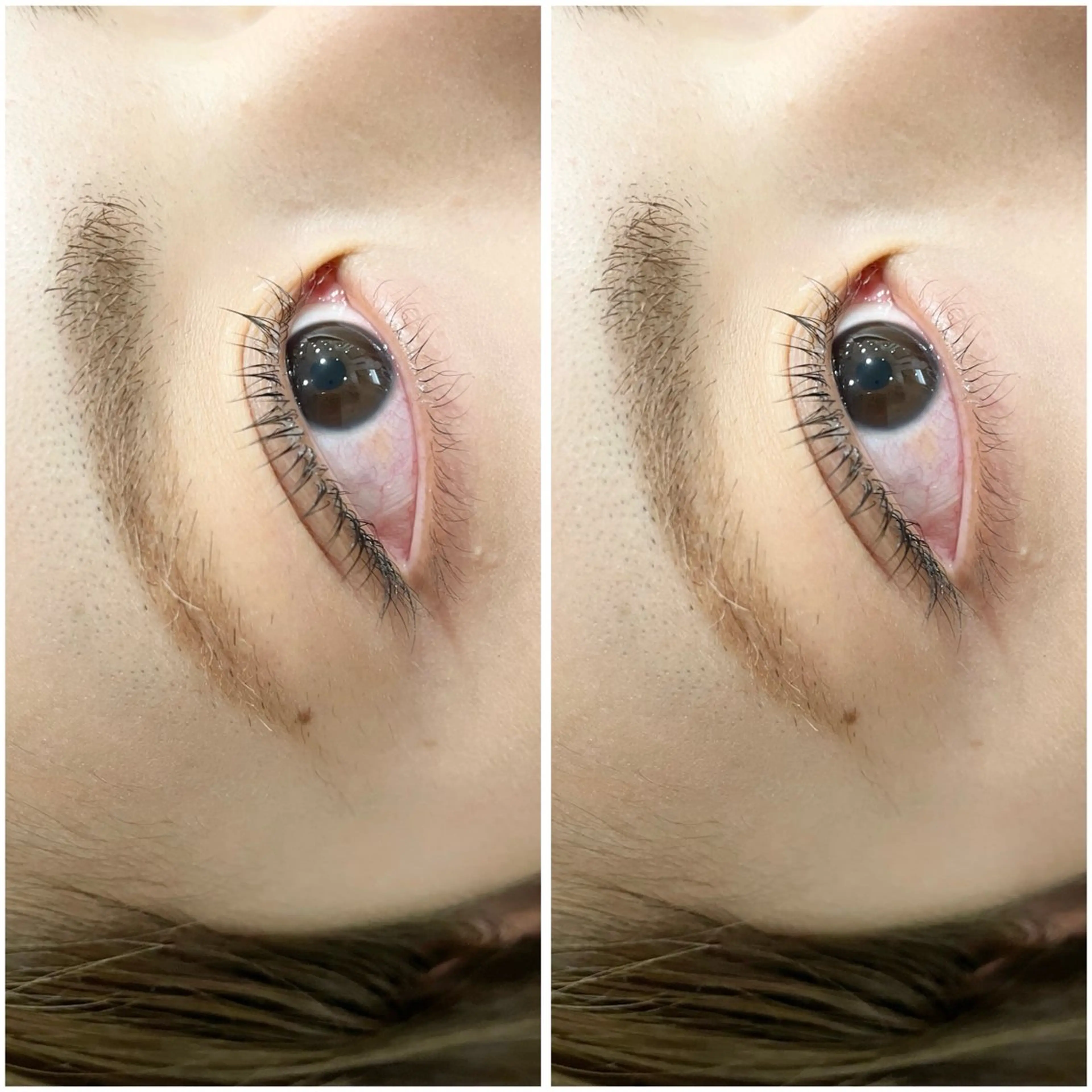 上下まつげパーマ➕コーティング仕上げ✨の写真