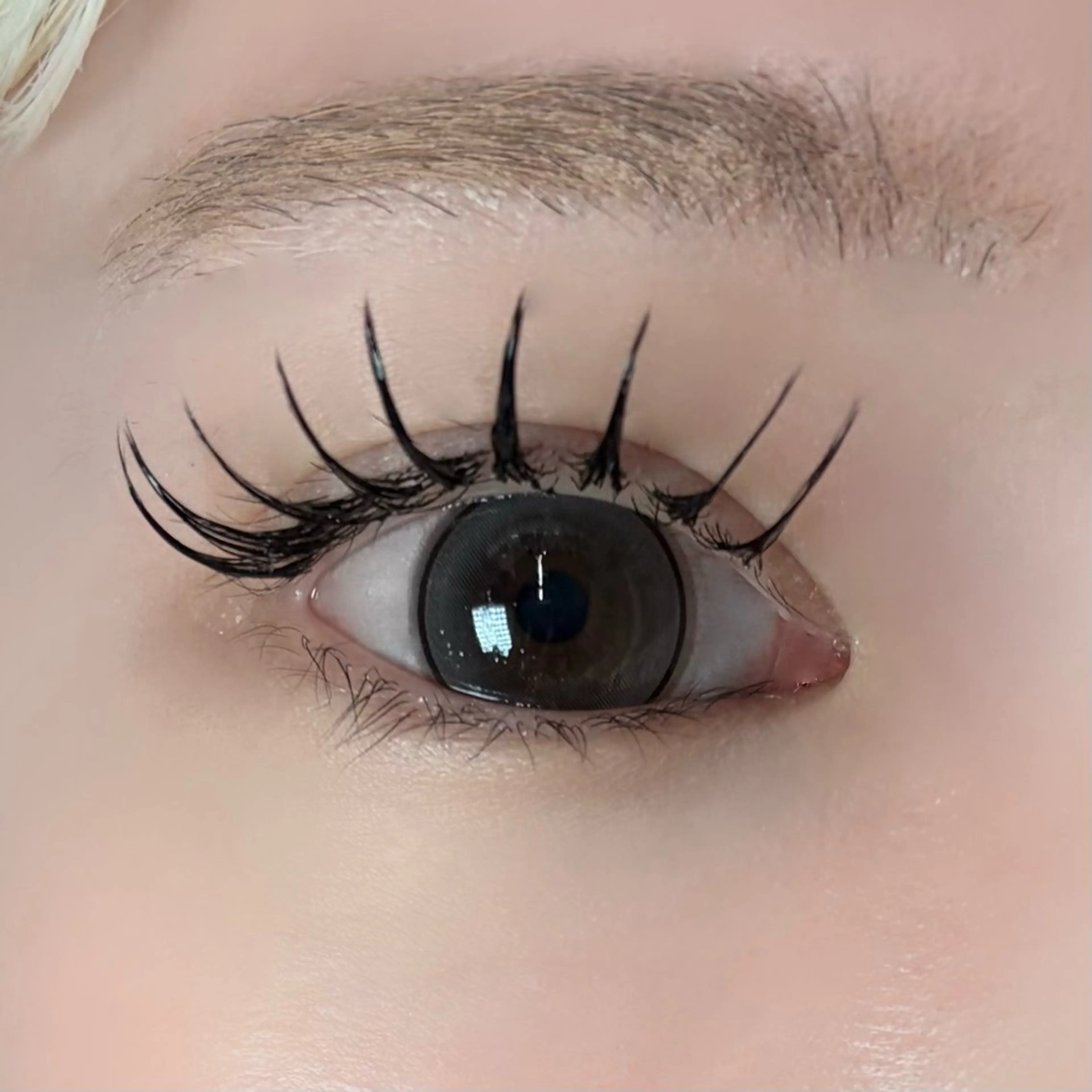 マツエク・マツパ マツエク アイサロン Seek 北梅田店のマツエク・マツパデザイン