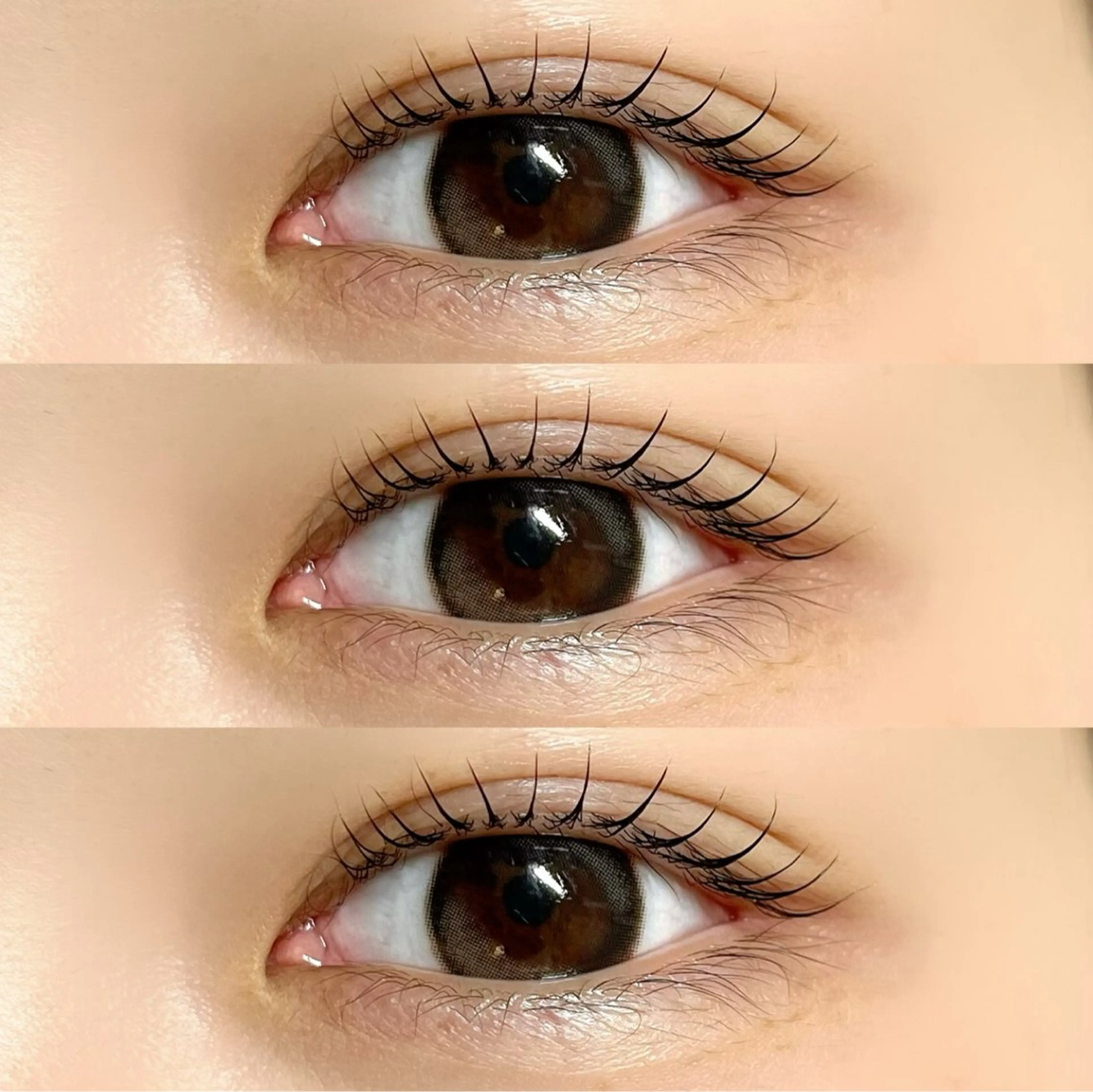 🌼まつ毛パーマ🌼の写真