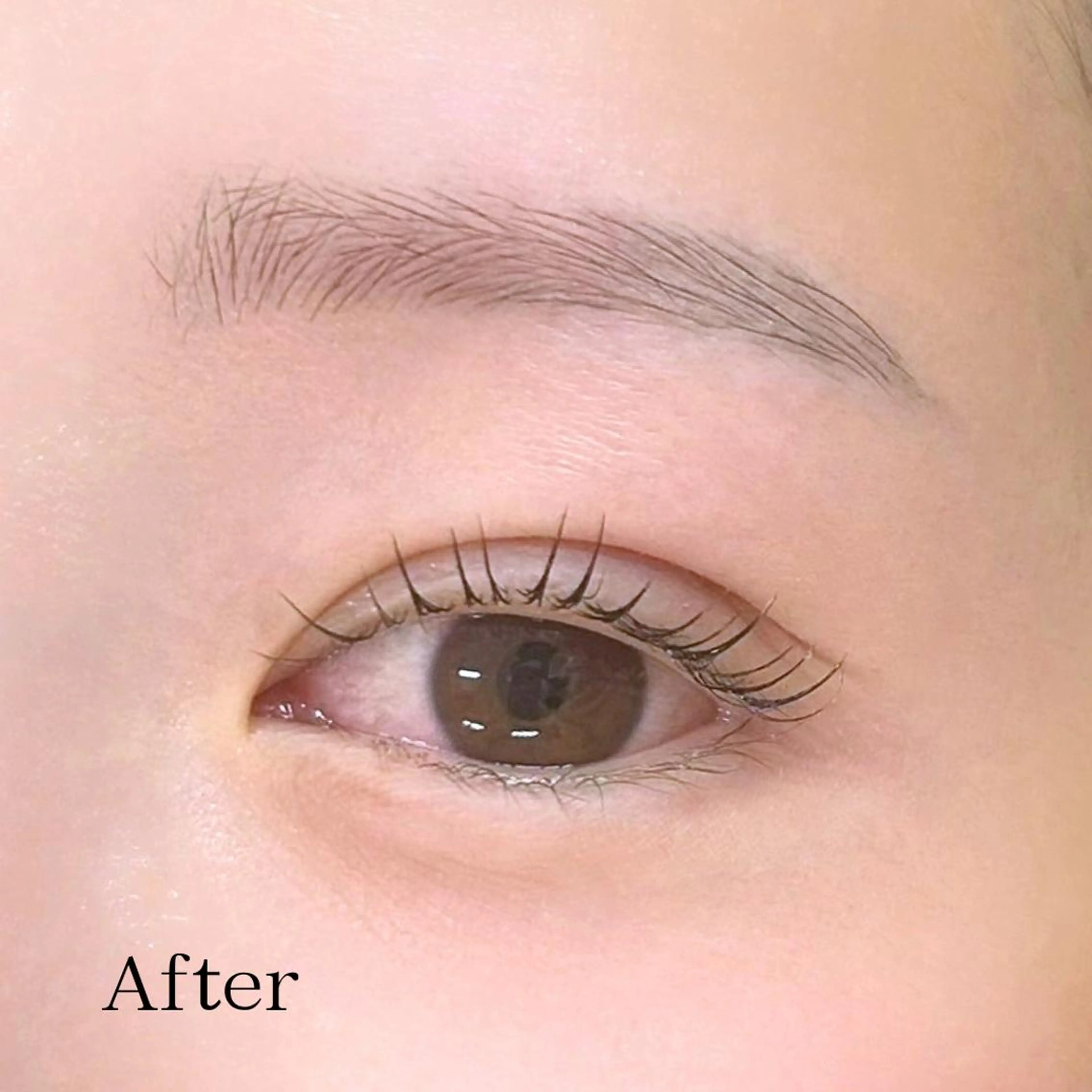 マツエク・マツパ 一重×まつ毛パーマ 骨格似合わせ眉WAX 眉まつ毛専門/あすみの眉毛・アイブロウイメージ