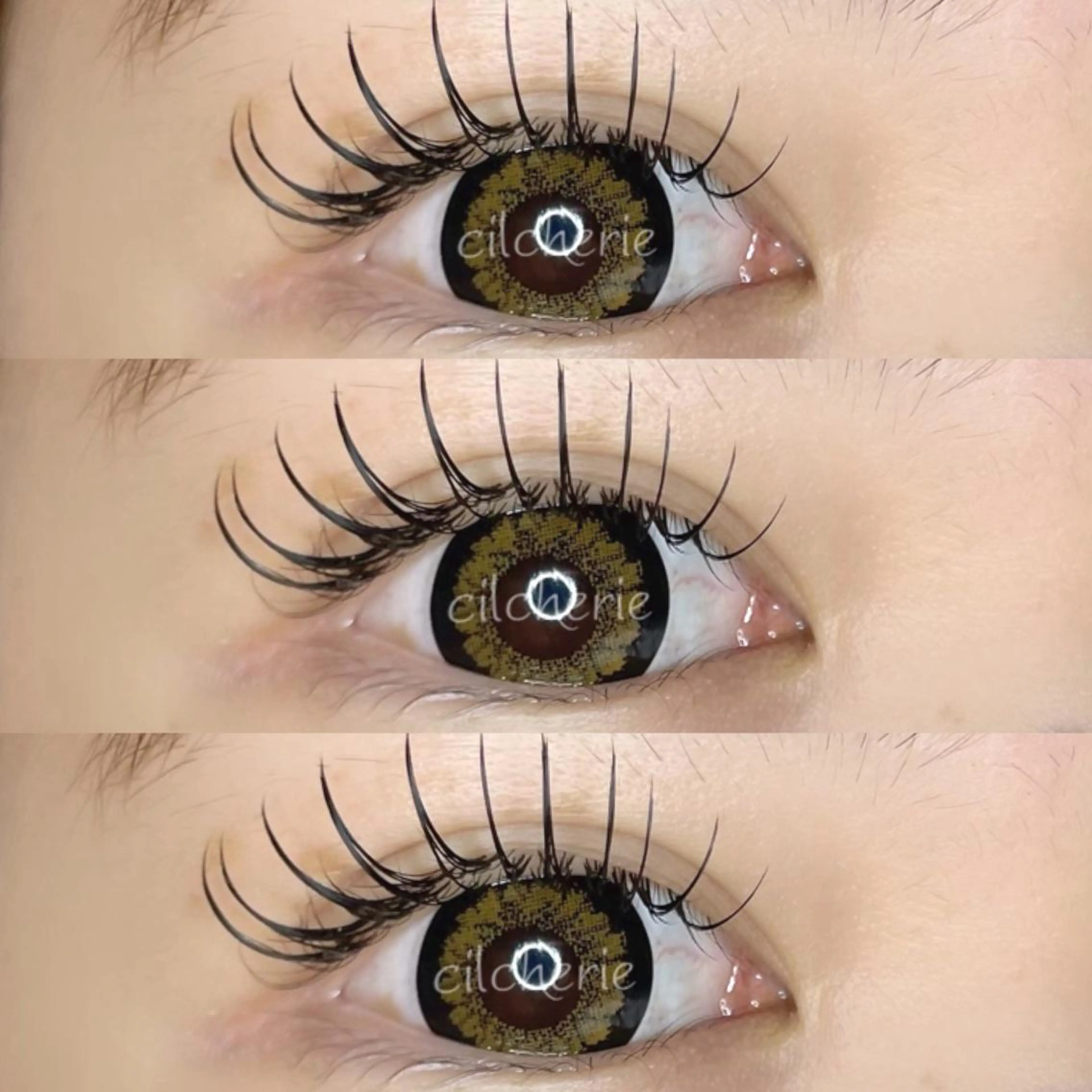 マツエク・マツパ 束感まつ毛 フラットラッシュ マツエク cilcherie (シルシェリー)のマツエク・マツパデザイン