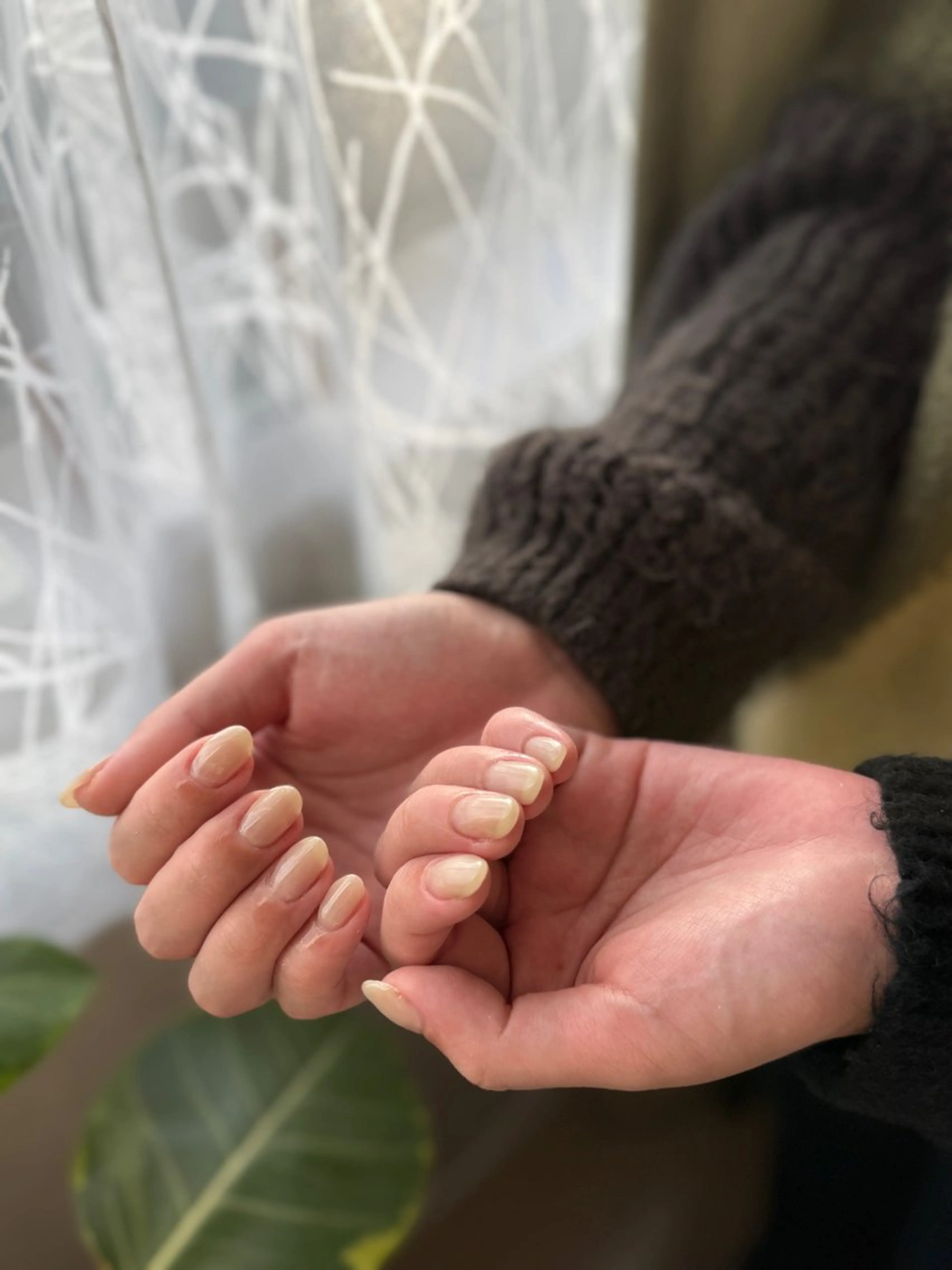 ネイル ワンカラーネイル ホワイト ハンドネイル ayaka naruのネイルデザイン