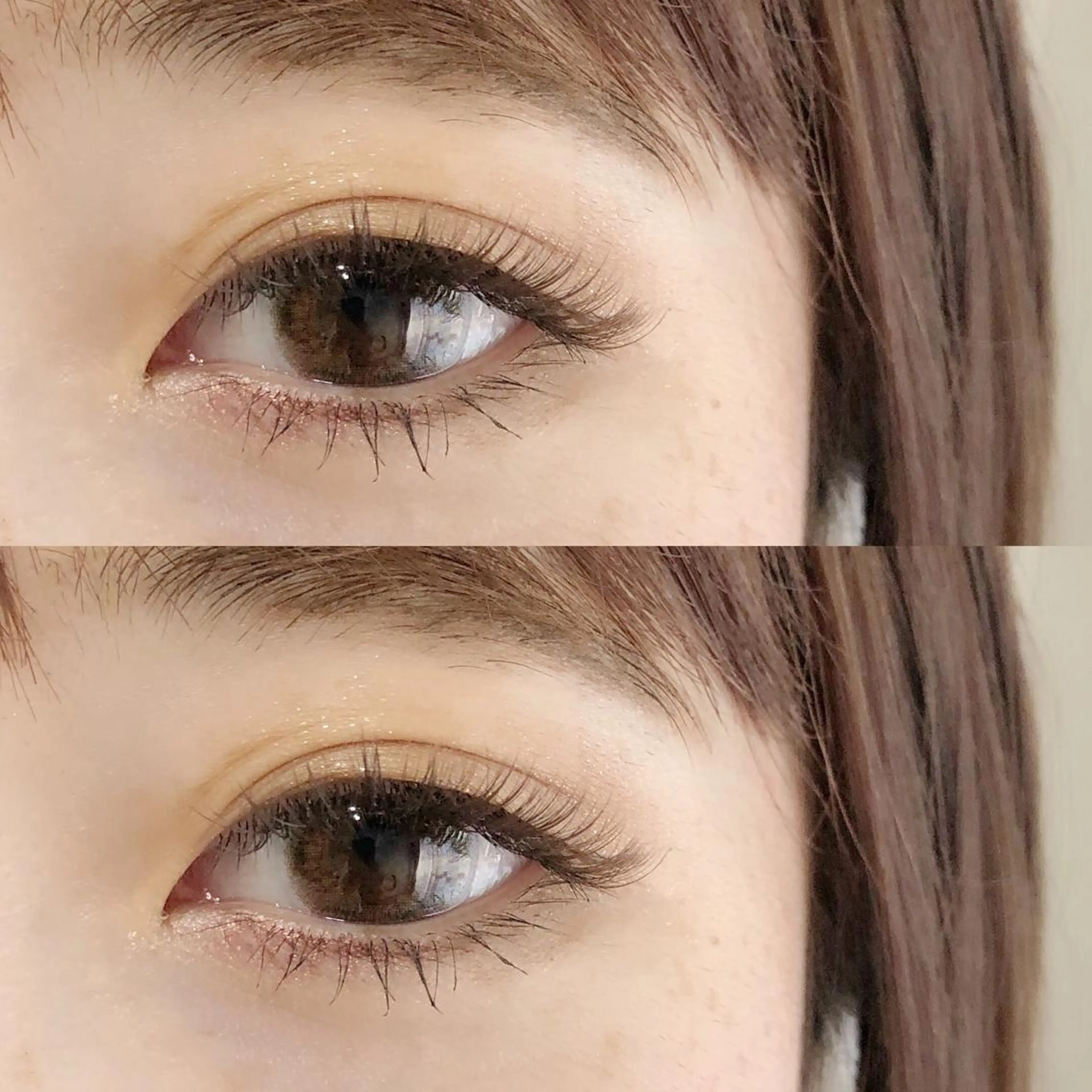 セーブルラッシュ80本の写真