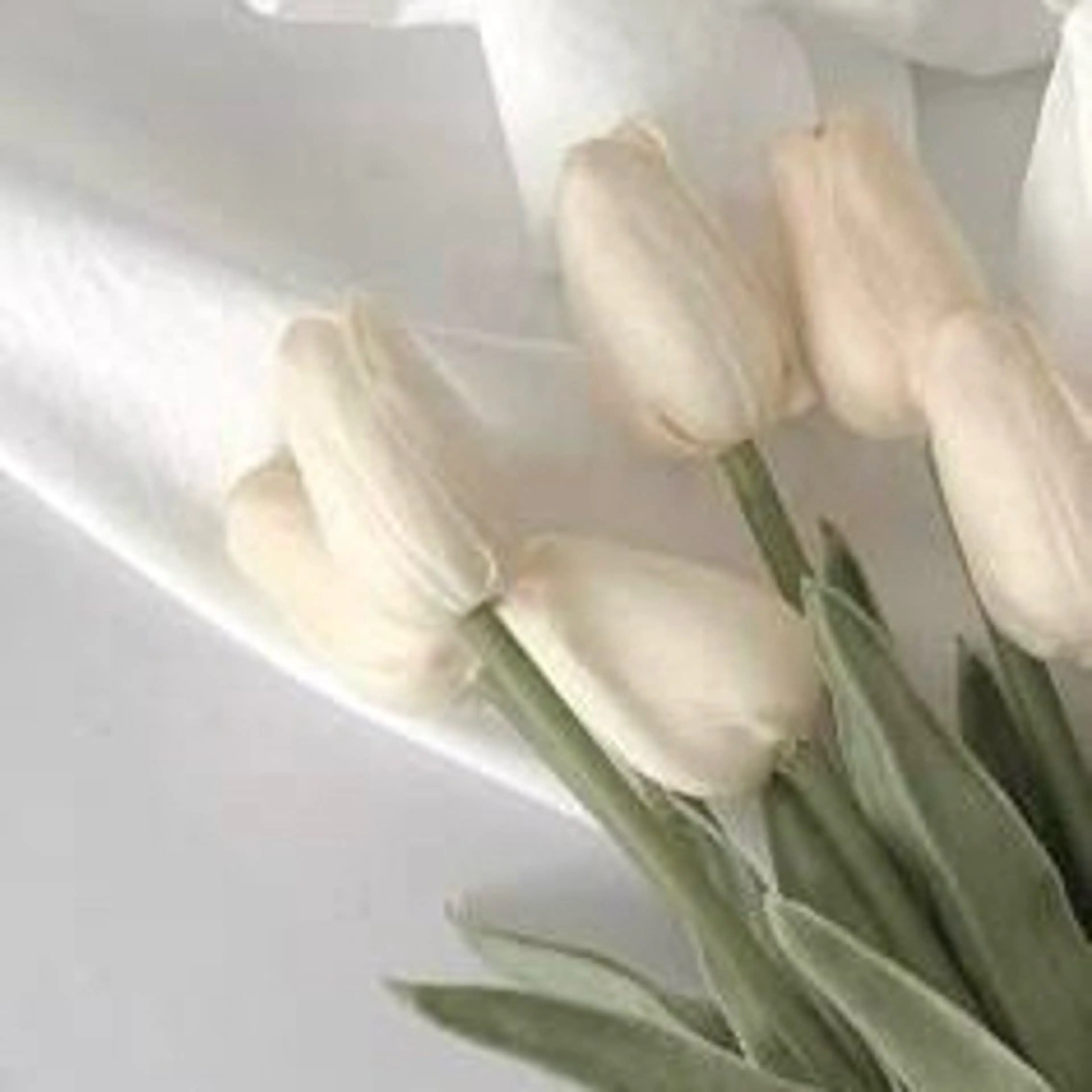 【まつげパーマ】🌱ケラチントリートメント仕上げの写真