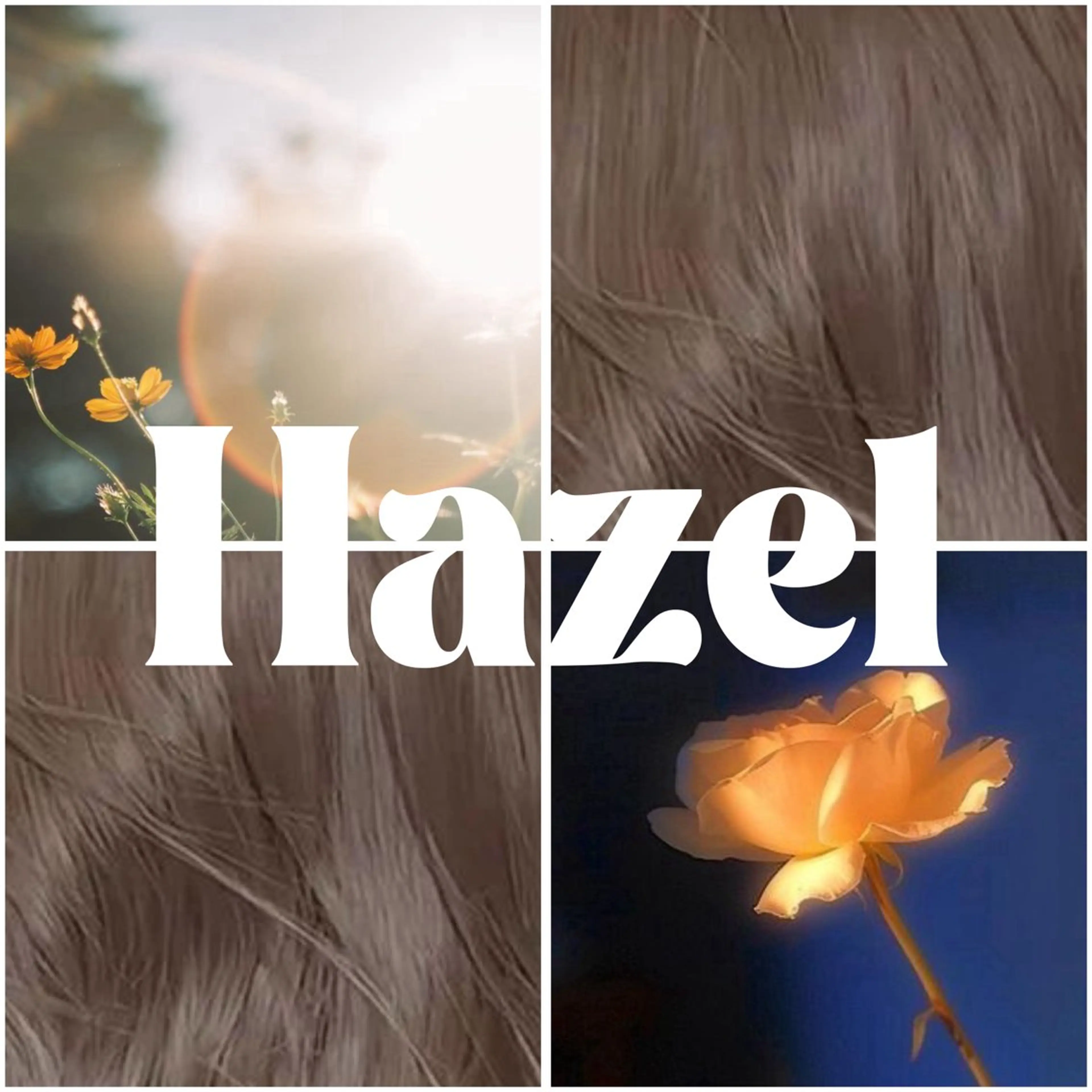 ロング 韓国　レイヤーカット ハッシュカットのヘアスタイル