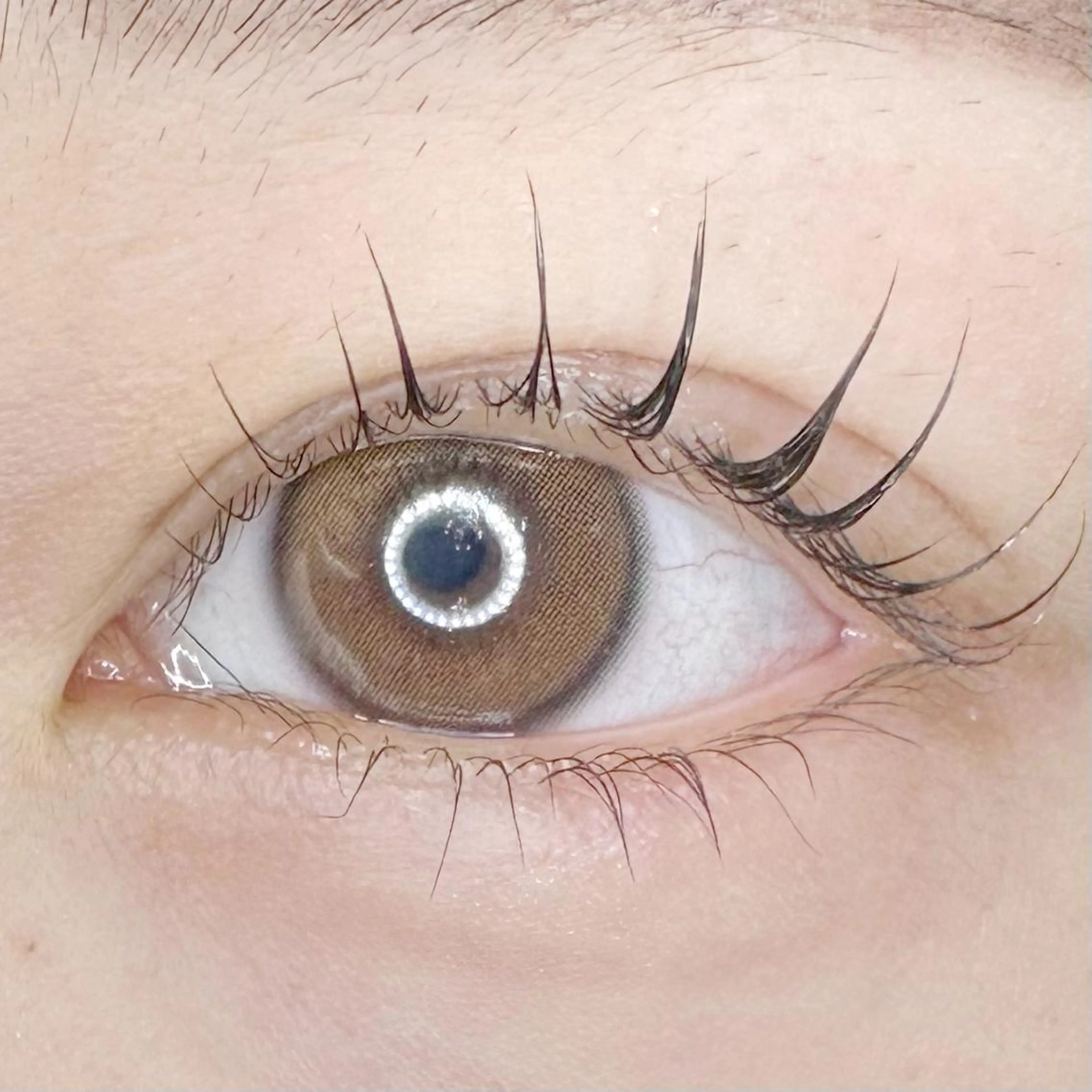 マツエク・マツパ マツパ 口コミ高評価⚡️ Wahf/Sotaのマツエク・マツパデザイン