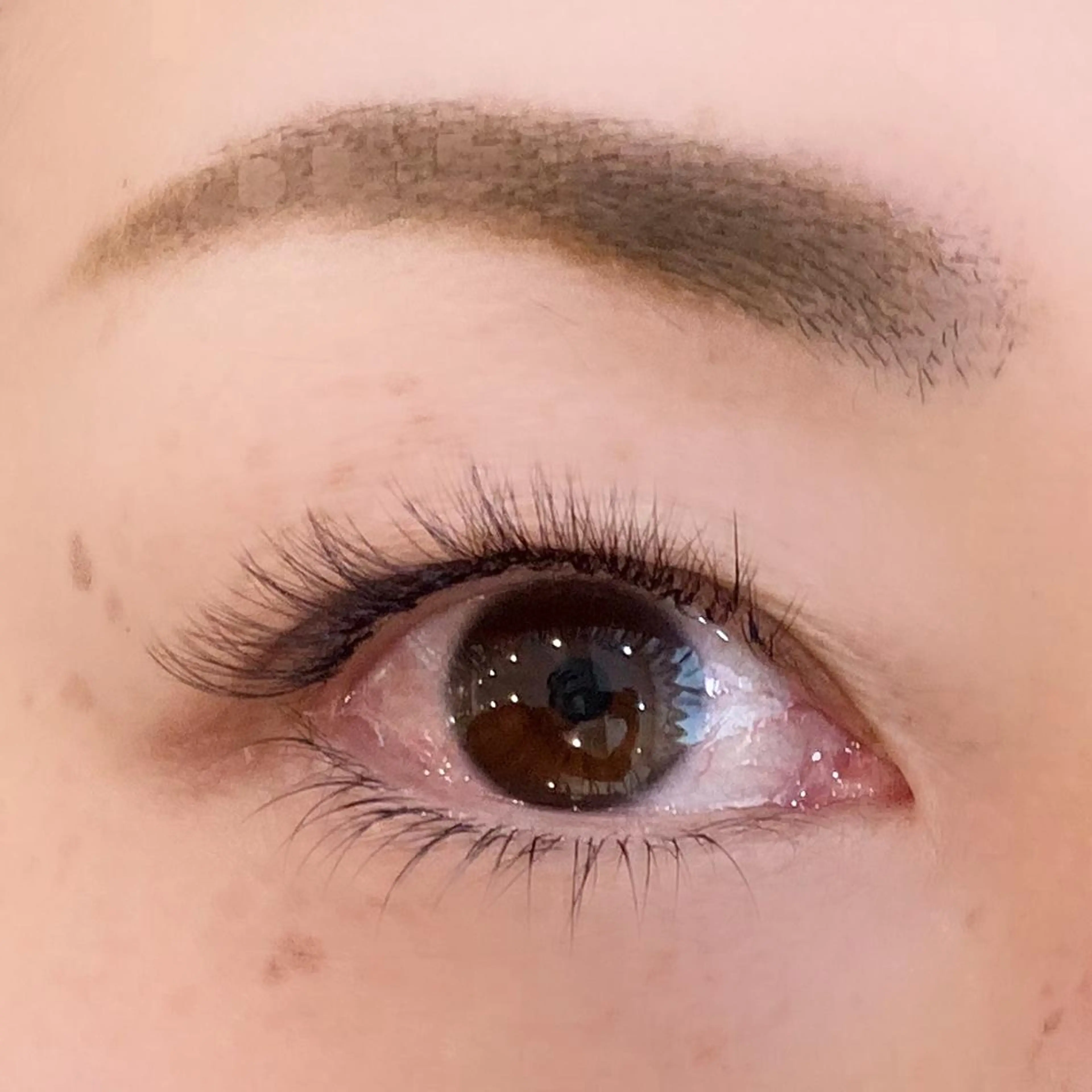 マツエク・マツパ 下まつげエクステ ボリュームラッシュ Raviliss 武田のマツエク・マツパデザイン