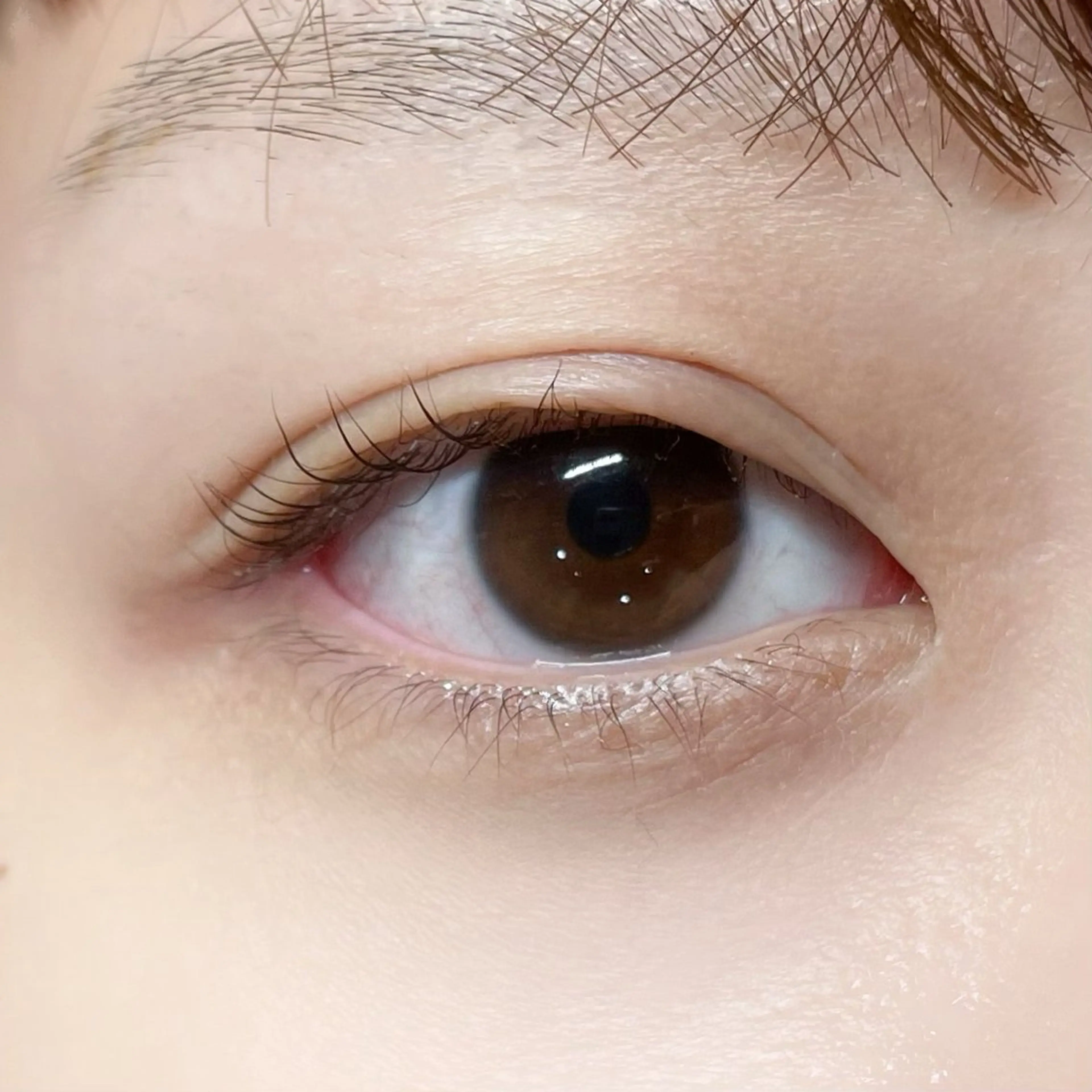 マツエク・マツパ マツパ 櫻井 怜華のマツエク・マツパデザイン